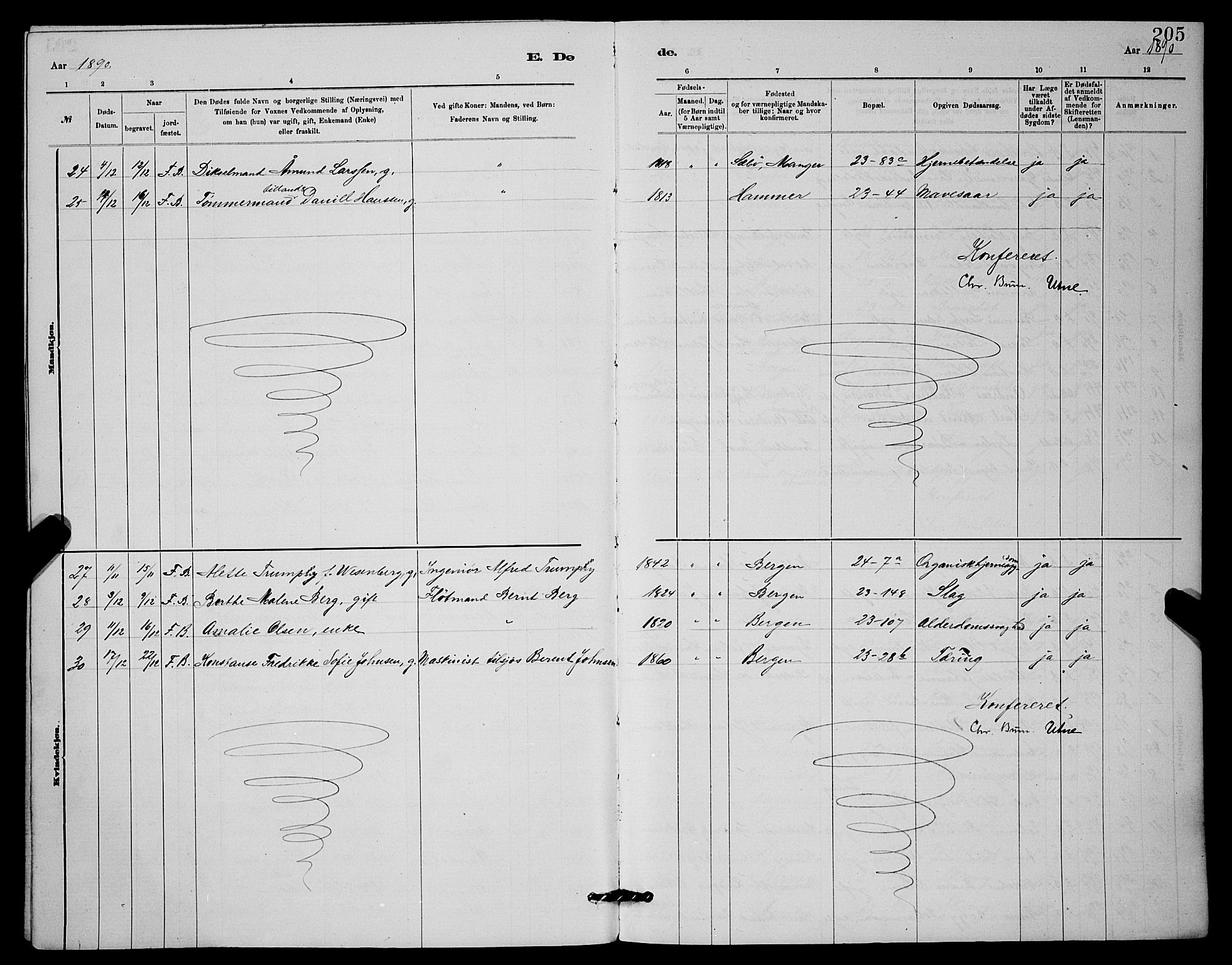 Mariakirken Sokneprestembete, AV/SAB-A-76901/H/Hab/L0004: Parish register (copy) no. A 4, 1878-1892, p. 205