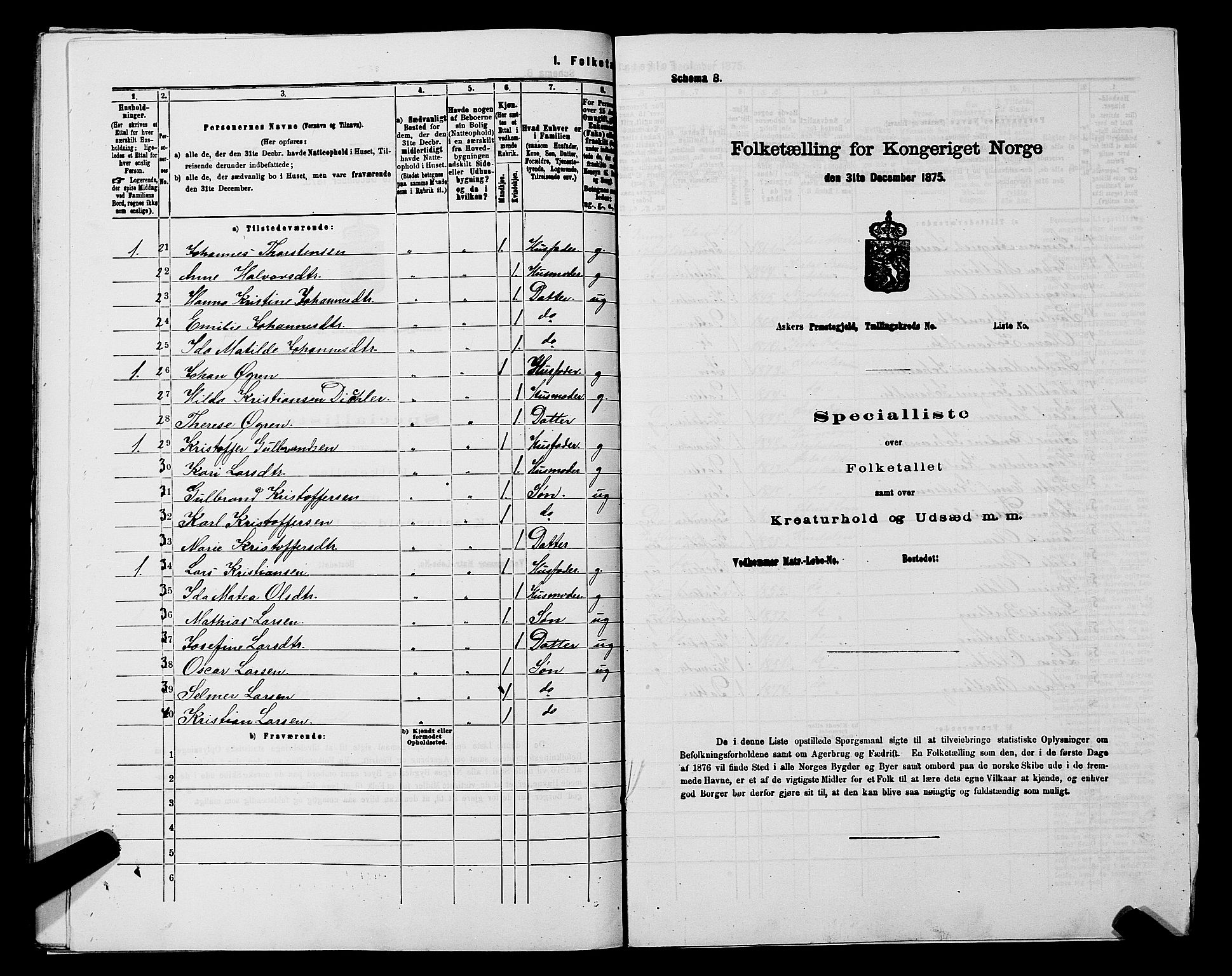 RA, 1875 census for 0220P Asker, 1875, p. 1425