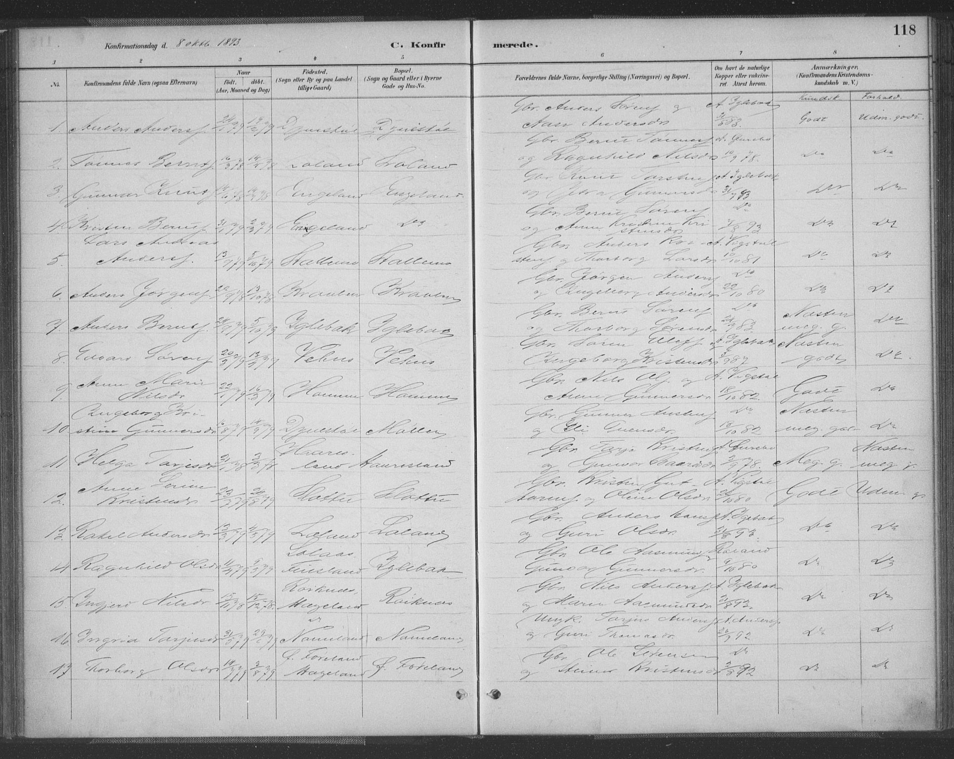 Vennesla sokneprestkontor, AV/SAK-1111-0045/Fa/Fac/L0009: Parish register (official) no. A 9, 1884-1901, p. 118