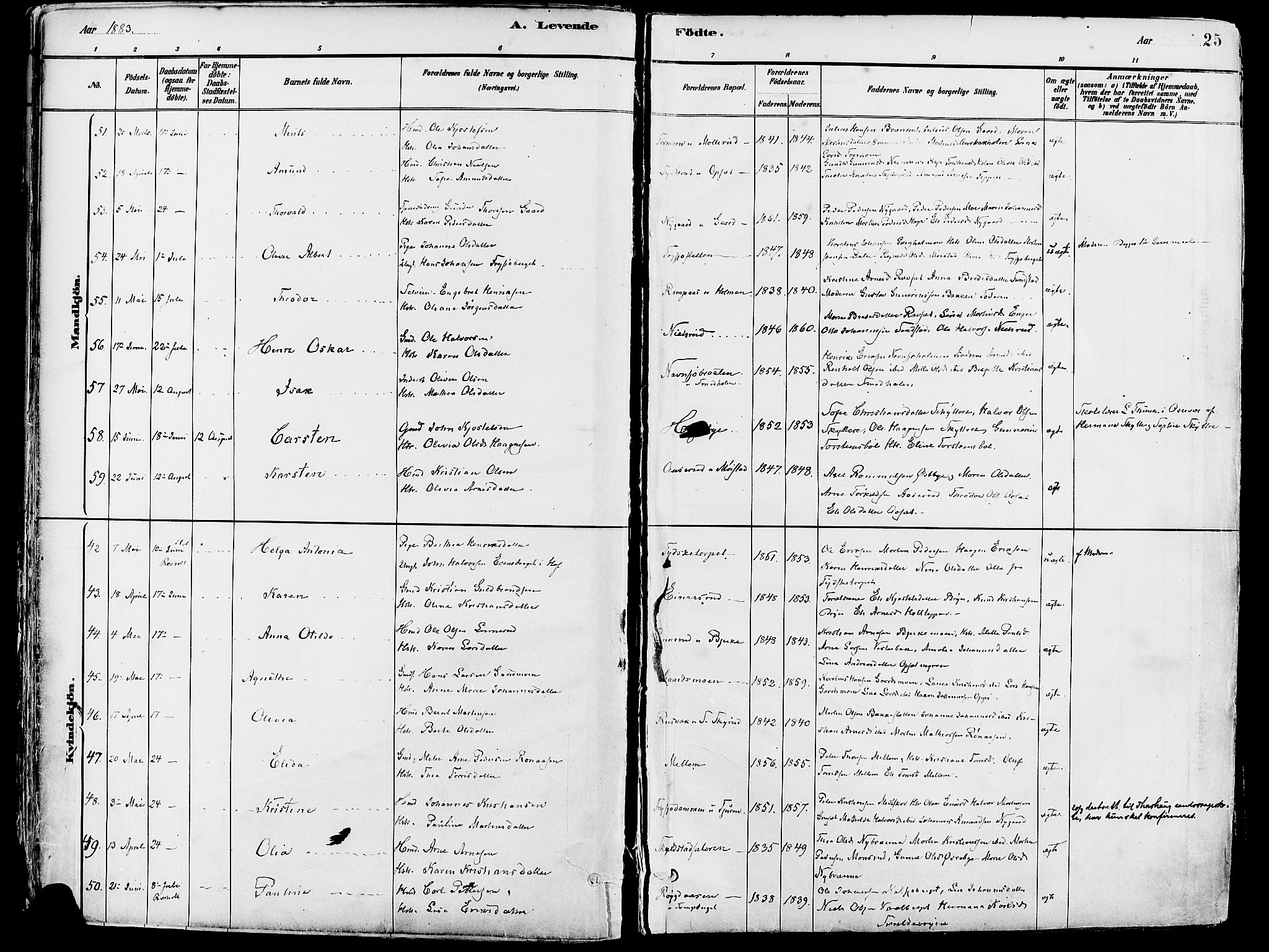 Grue prestekontor, AV/SAH-PREST-036/H/Ha/Haa/L0012: Parish register (official) no. 12, 1881-1897, p. 25