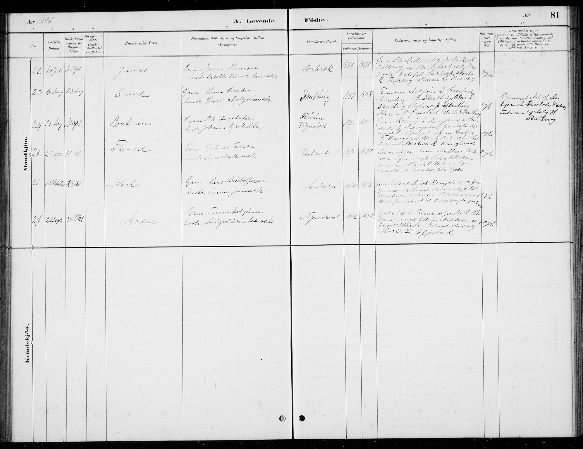 Hå sokneprestkontor, AV/SAST-A-101801/001/30BB/L0004: Parish register (copy) no. B 4, 1883-1899, p. 81