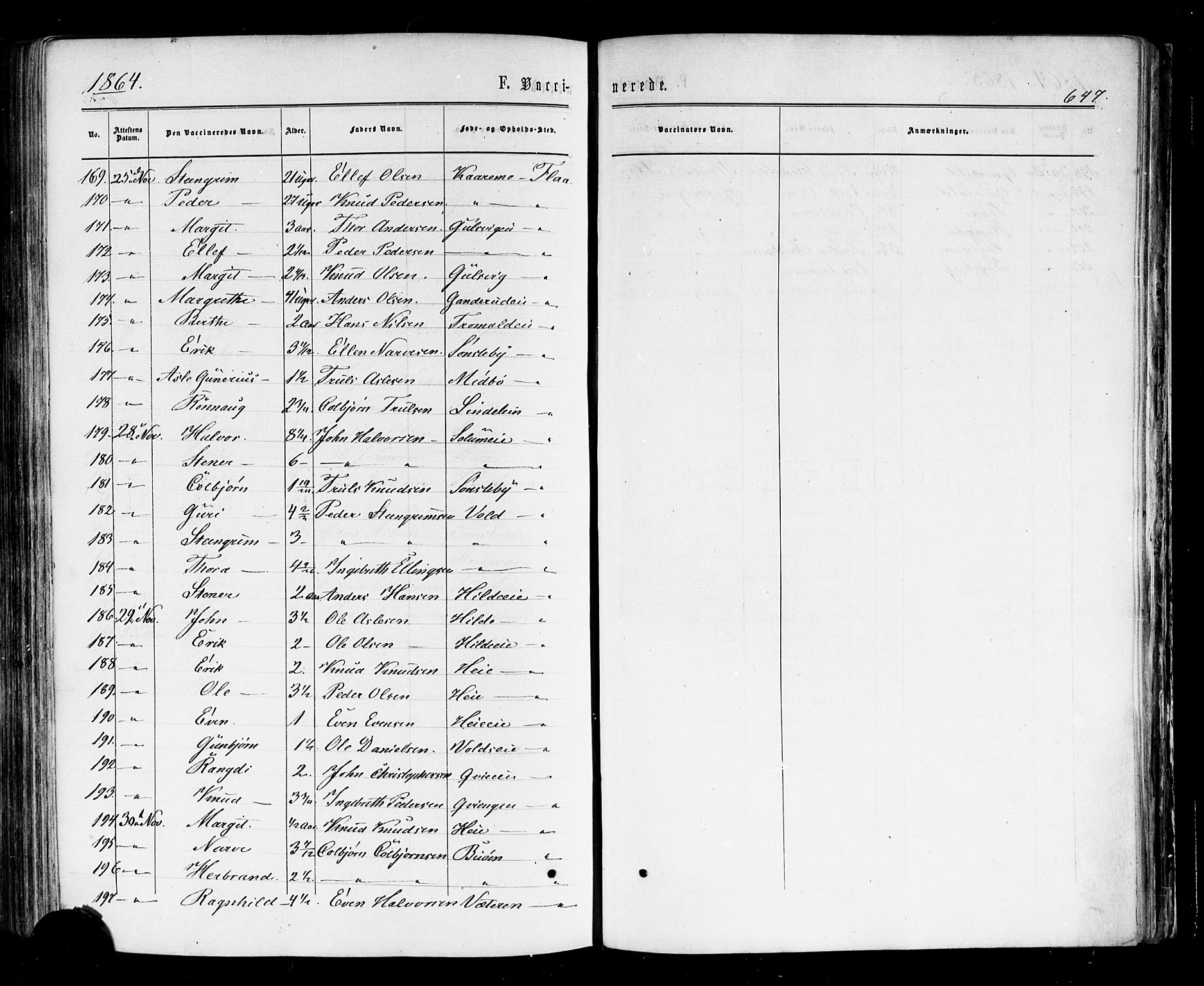 Nes kirkebøker, AV/SAKO-A-236/F/Fa/L0010: Parish register (official) no. 10, 1864-1880, p. 647