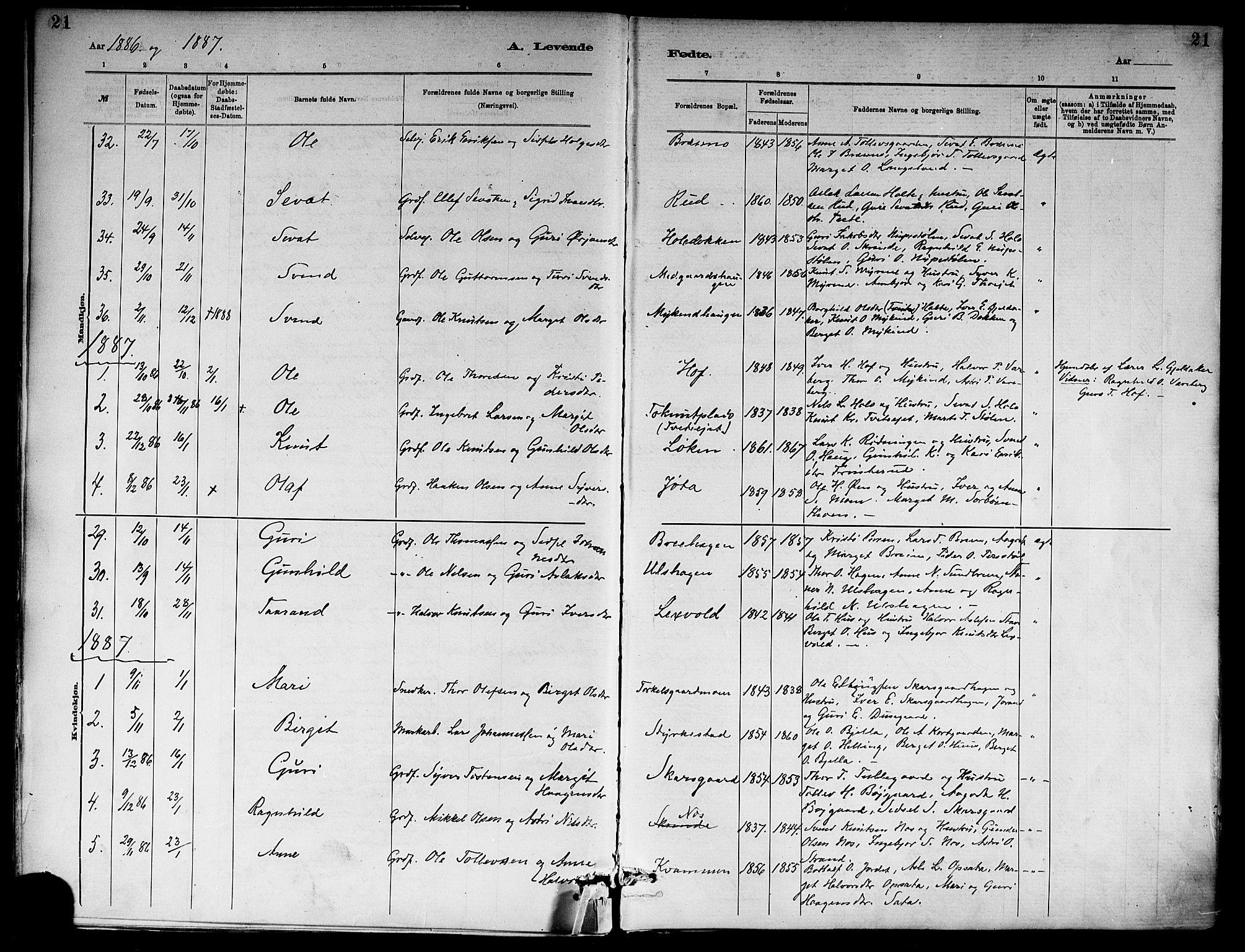 Ål kirkebøker, AV/SAKO-A-249/F/Fa/L0008: Parish register (official) no. I 8, 1882-1896, p. 21