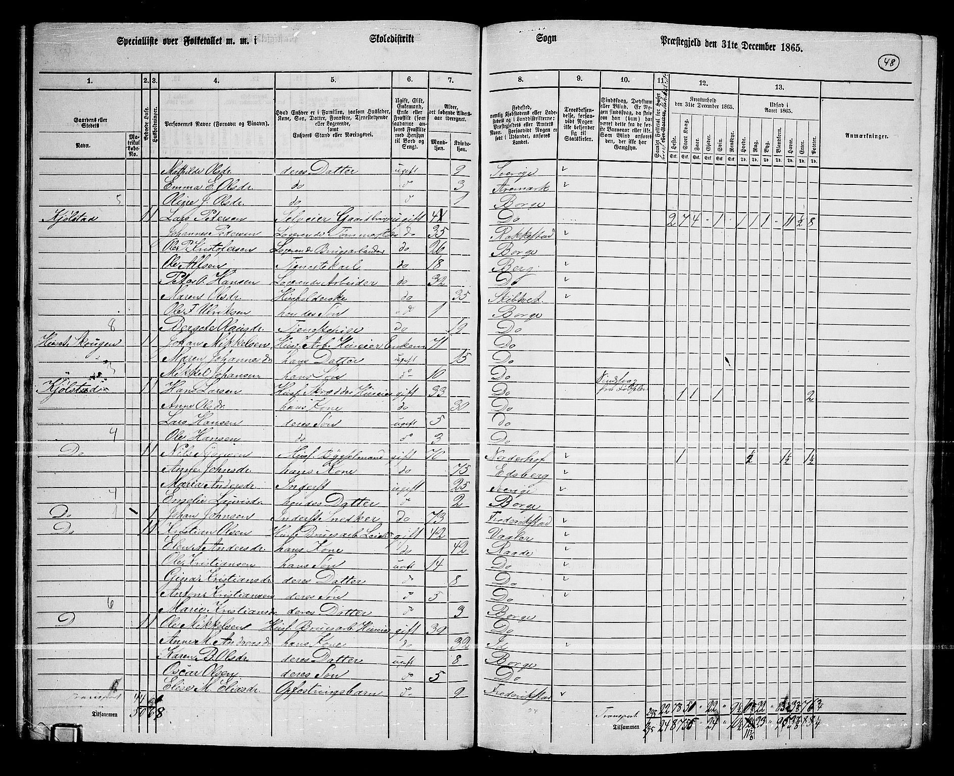 RA, 1865 census for Borge, 1865, p. 46