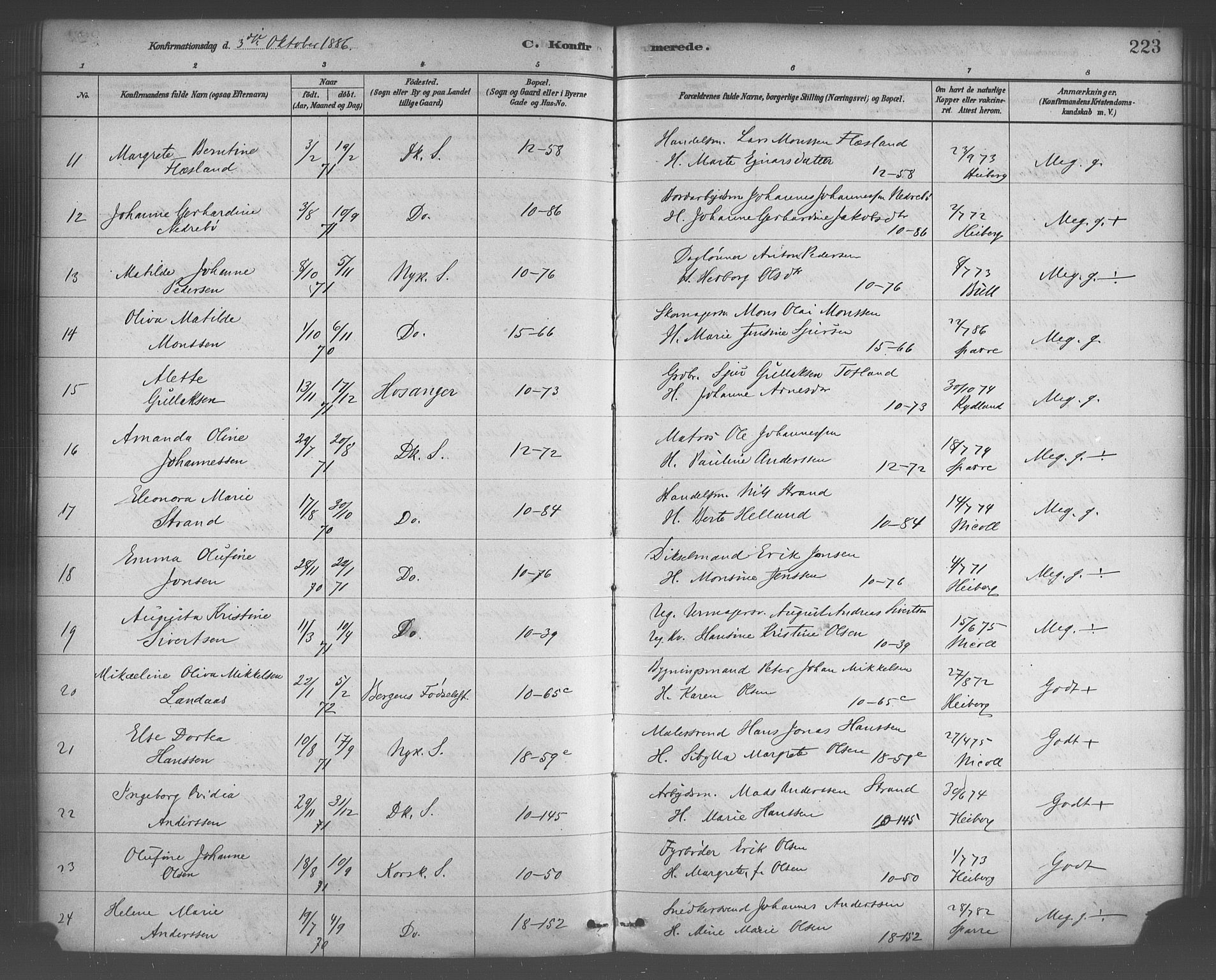 Domkirken sokneprestembete, AV/SAB-A-74801/H/Haa/L0030: Parish register (official) no. C 5, 1880-1898, p. 223