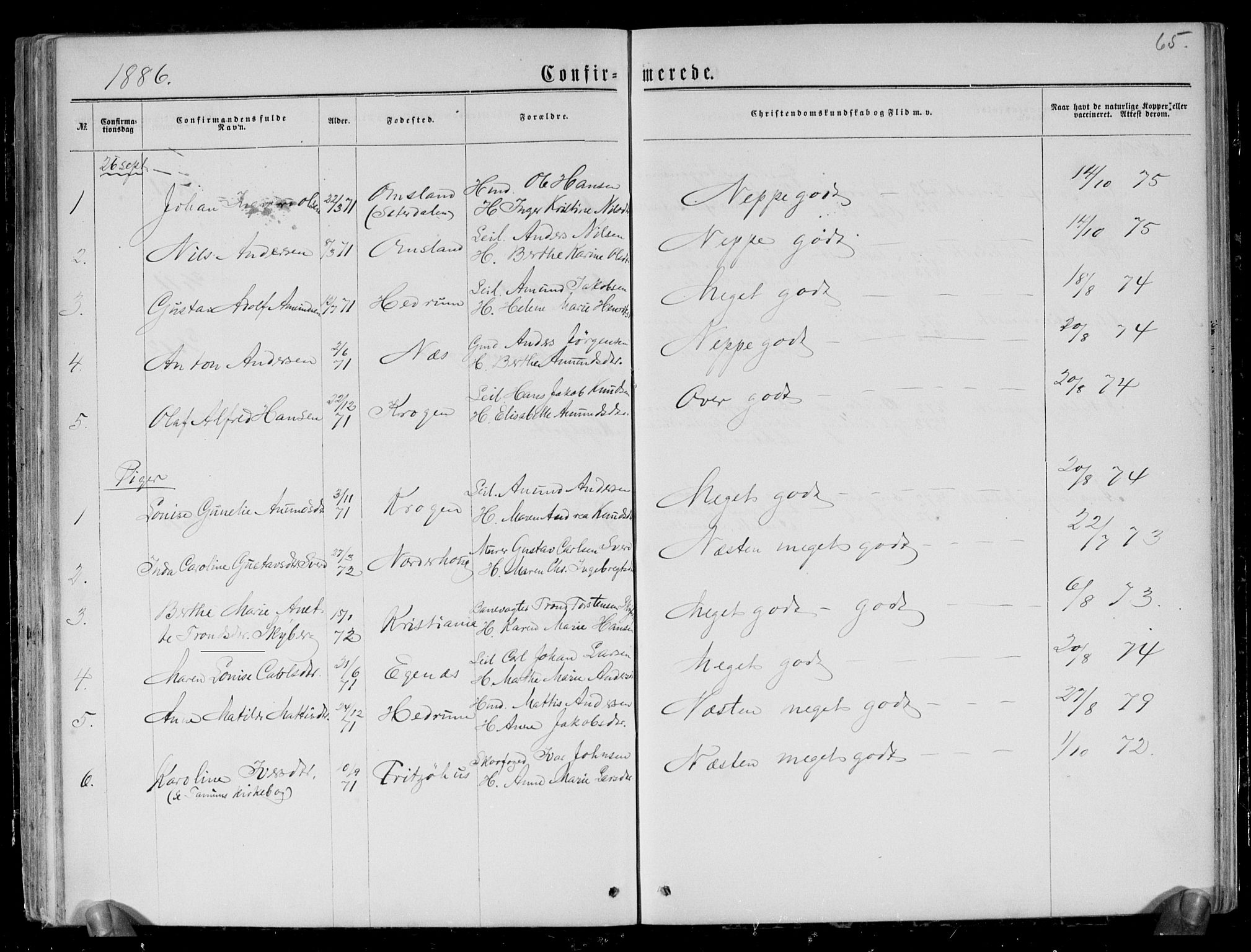 Brunlanes kirkebøker, AV/SAKO-A-342/G/Gc/L0001: Parish register (copy) no. III 1, 1866-1890, p. 65