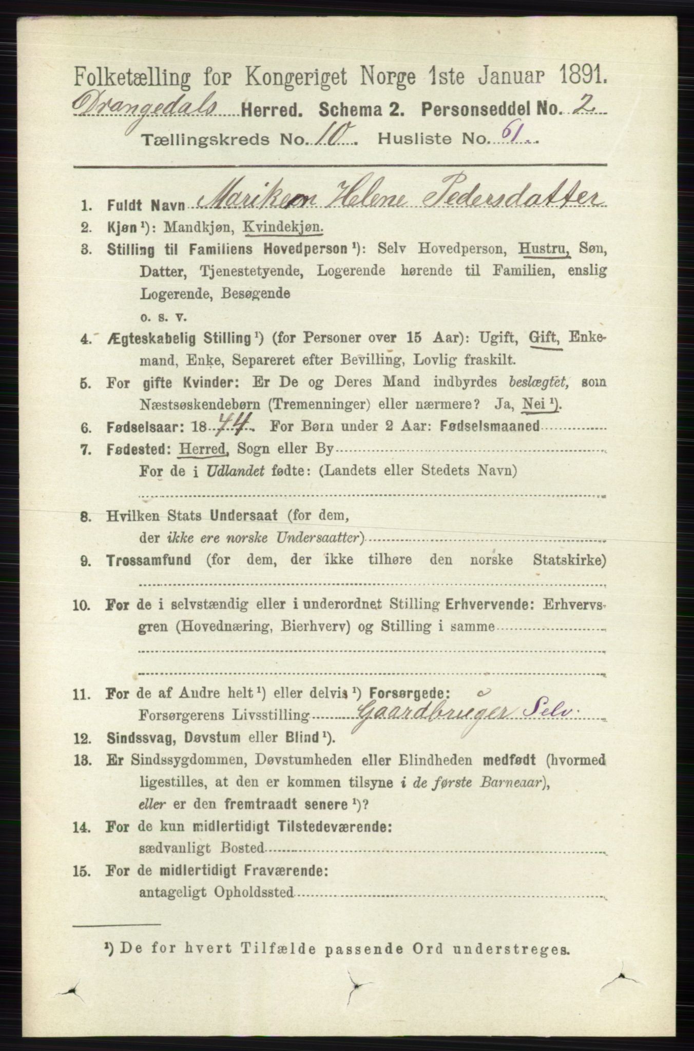 RA, 1891 census for 0817 Drangedal, 1891, p. 3805