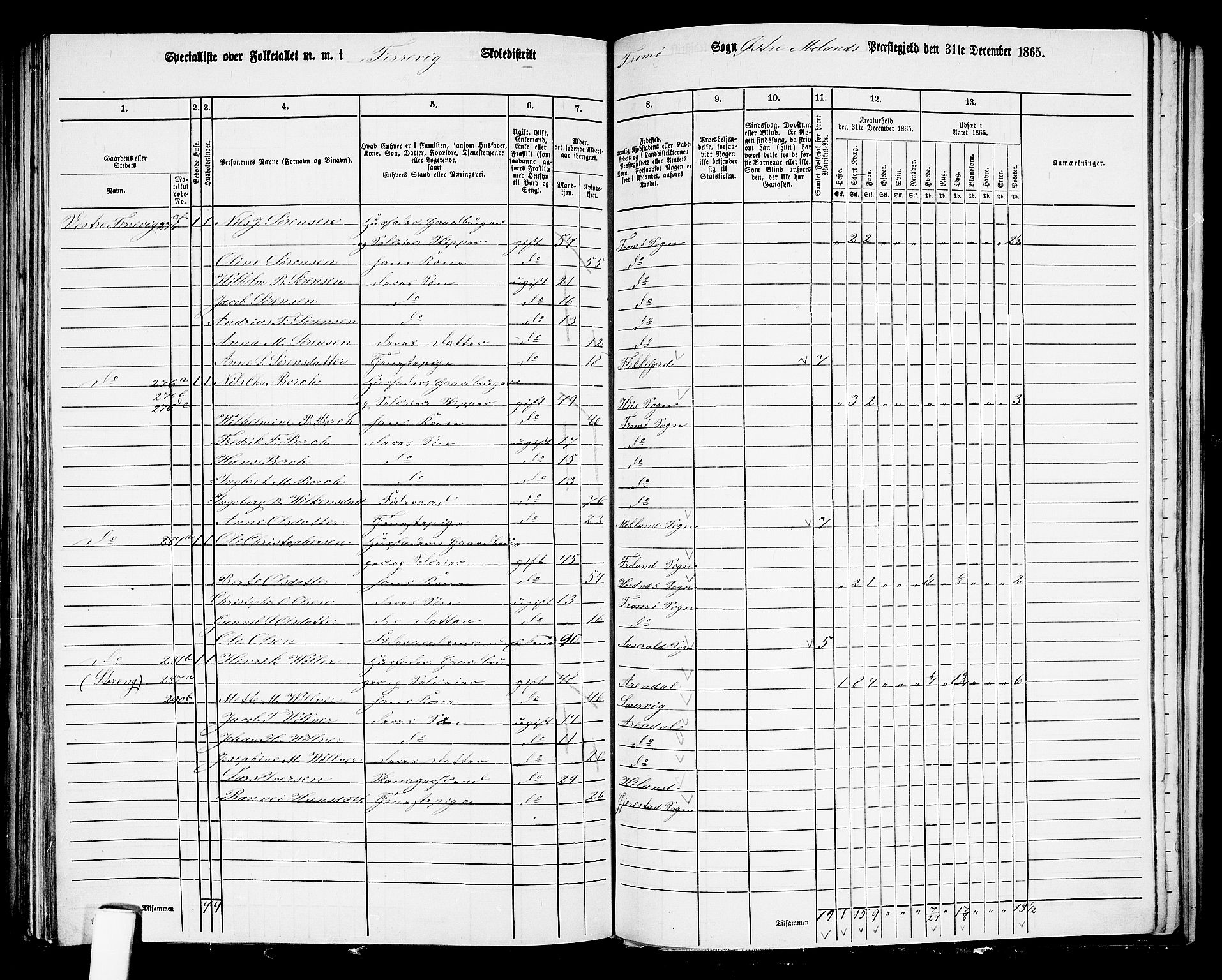 RA, 1865 census for Austre Moland, 1865, p. 262