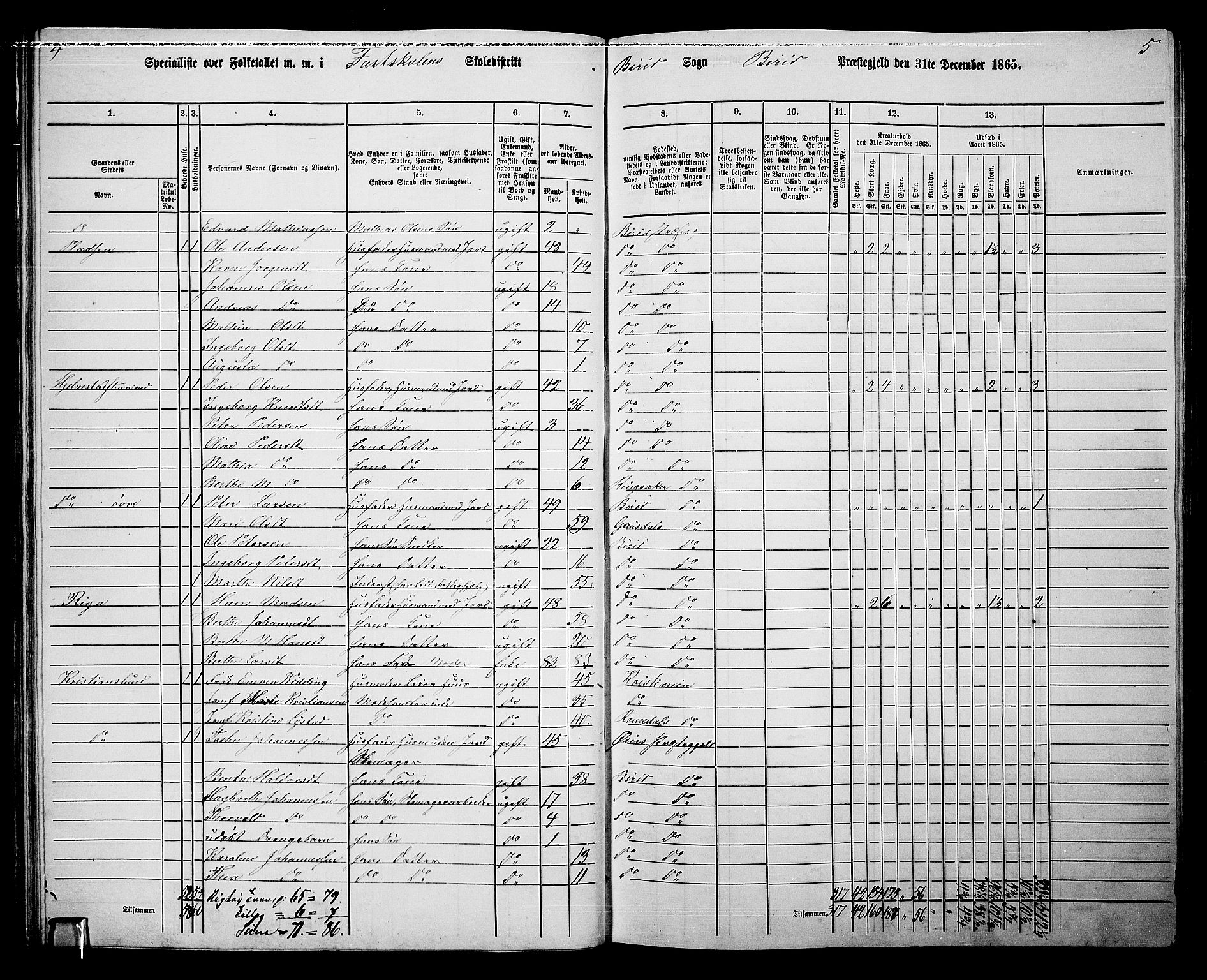 RA, 1865 census for Biri, 1865, p. 55