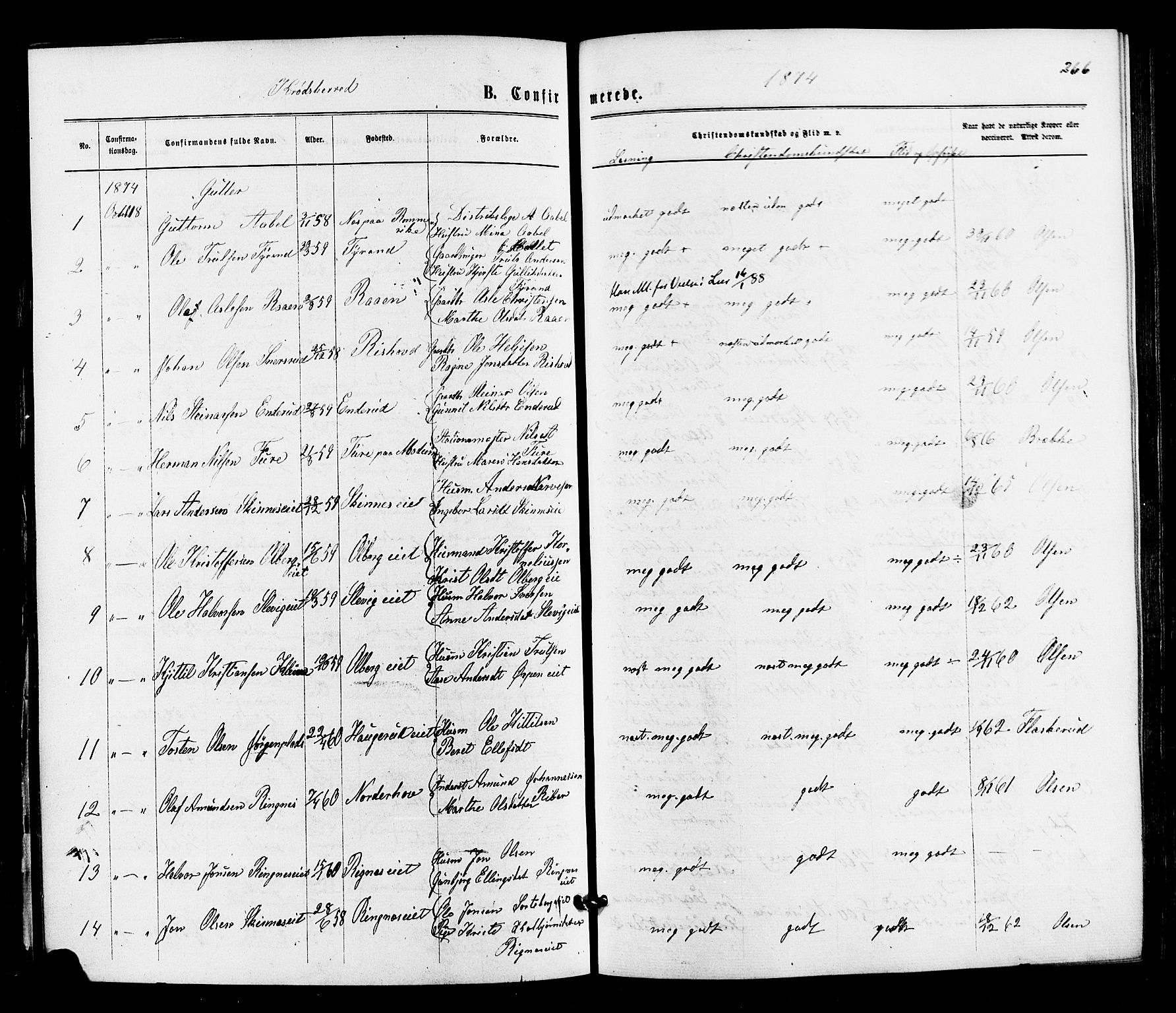 Sigdal kirkebøker, AV/SAKO-A-245/F/Fa/L0010: Parish register (official) no. I 10 /2, 1872-1878, p. 266