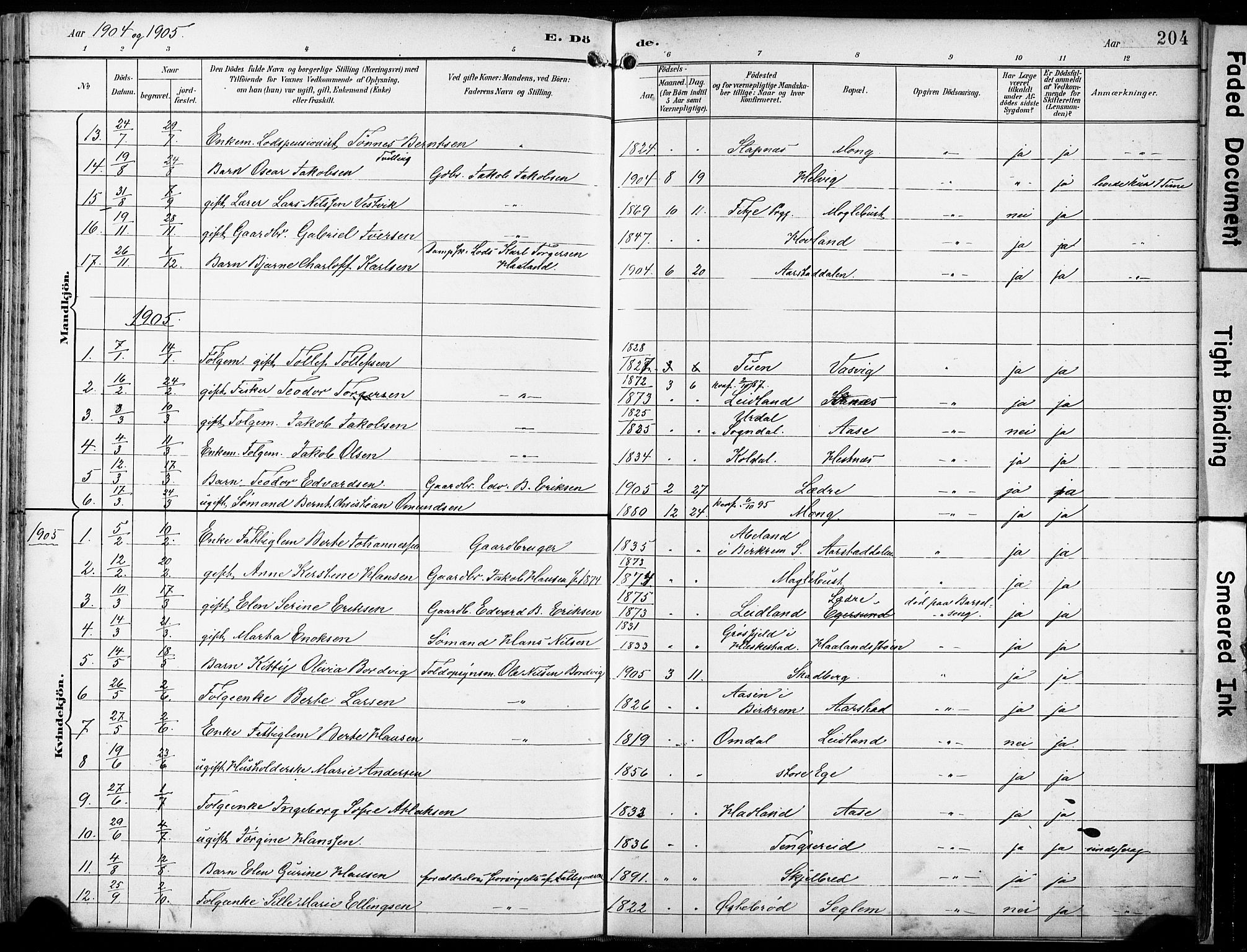 Eigersund sokneprestkontor, AV/SAST-A-101807/S08/L0018: Parish register (official) no. A 17, 1892-1905, p. 204