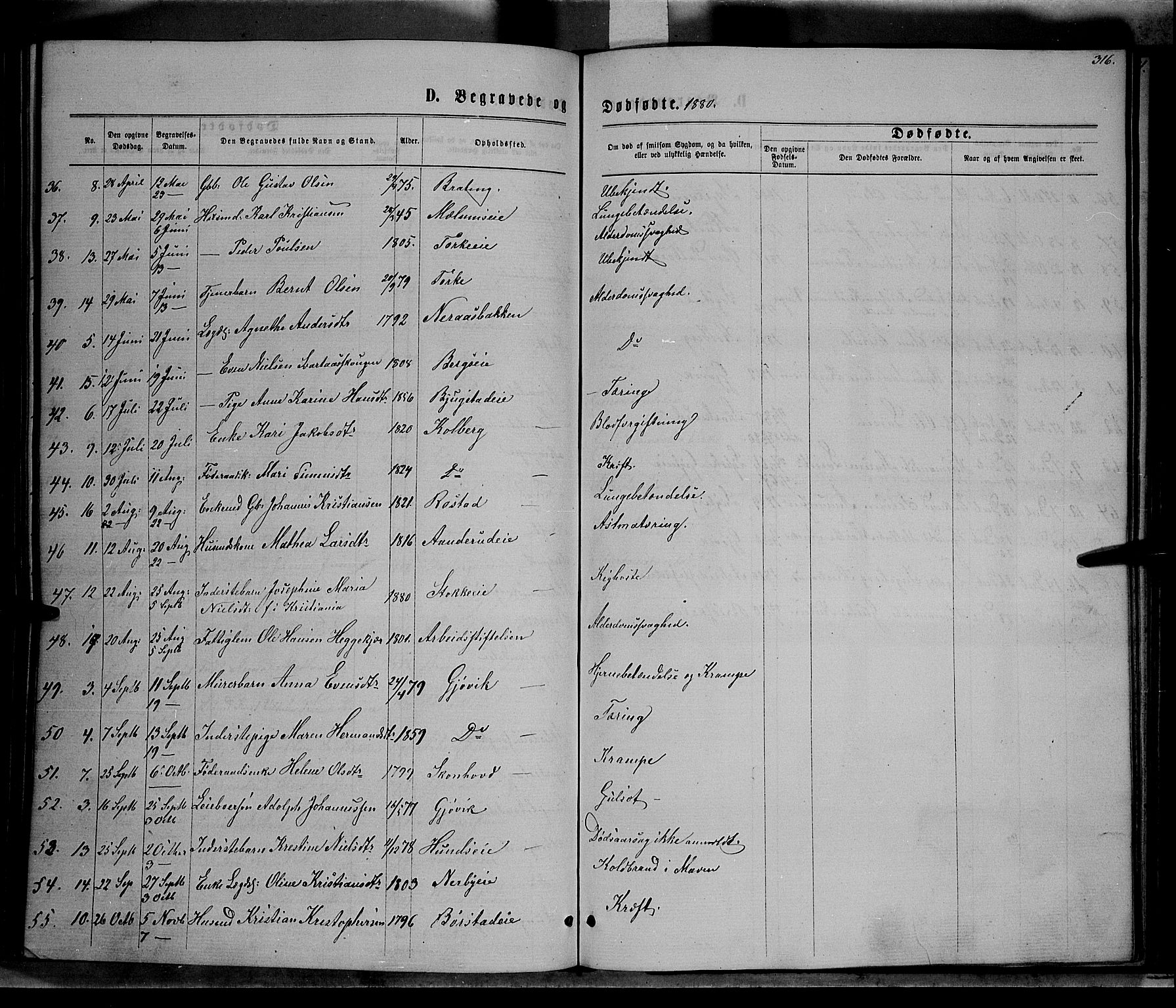 Vardal prestekontor, SAH/PREST-100/H/Ha/Hab/L0006: Parish register (copy) no. 6, 1869-1881, p. 316