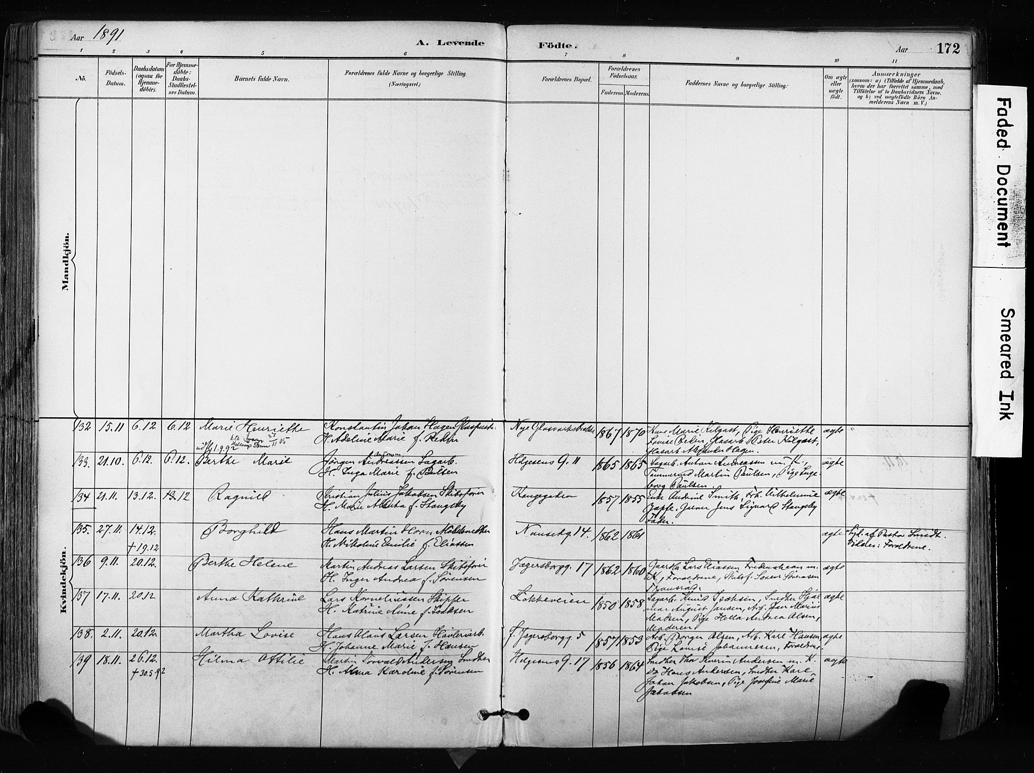 Larvik kirkebøker, AV/SAKO-A-352/F/Fa/L0009: Parish register (official) no. I 9, 1884-1904, p. 172