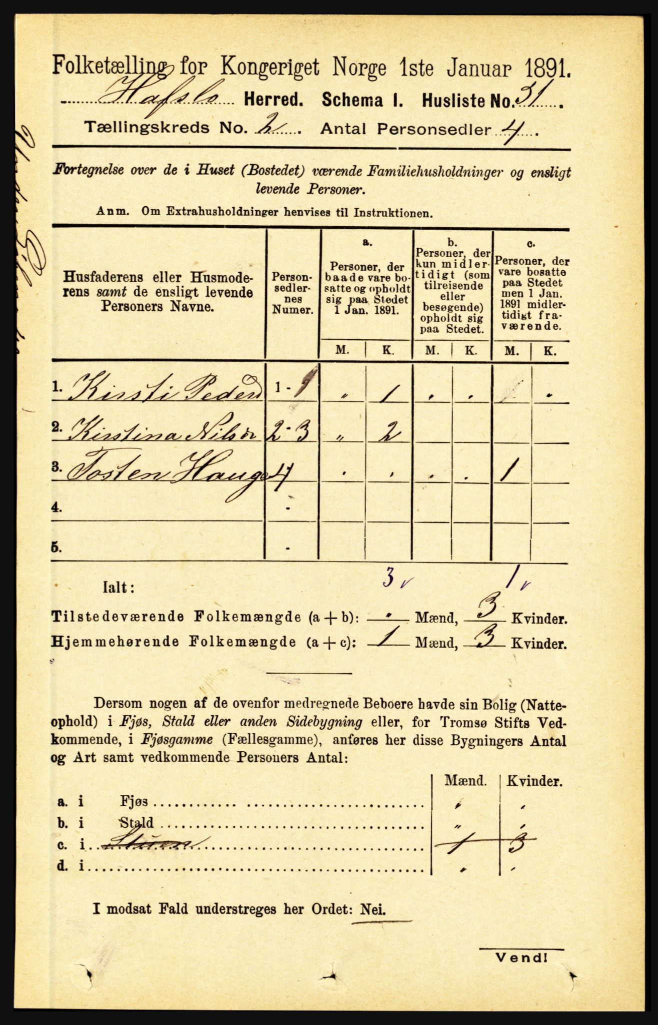 RA, 1891 census for 1425 Hafslo, 1891, p. 528