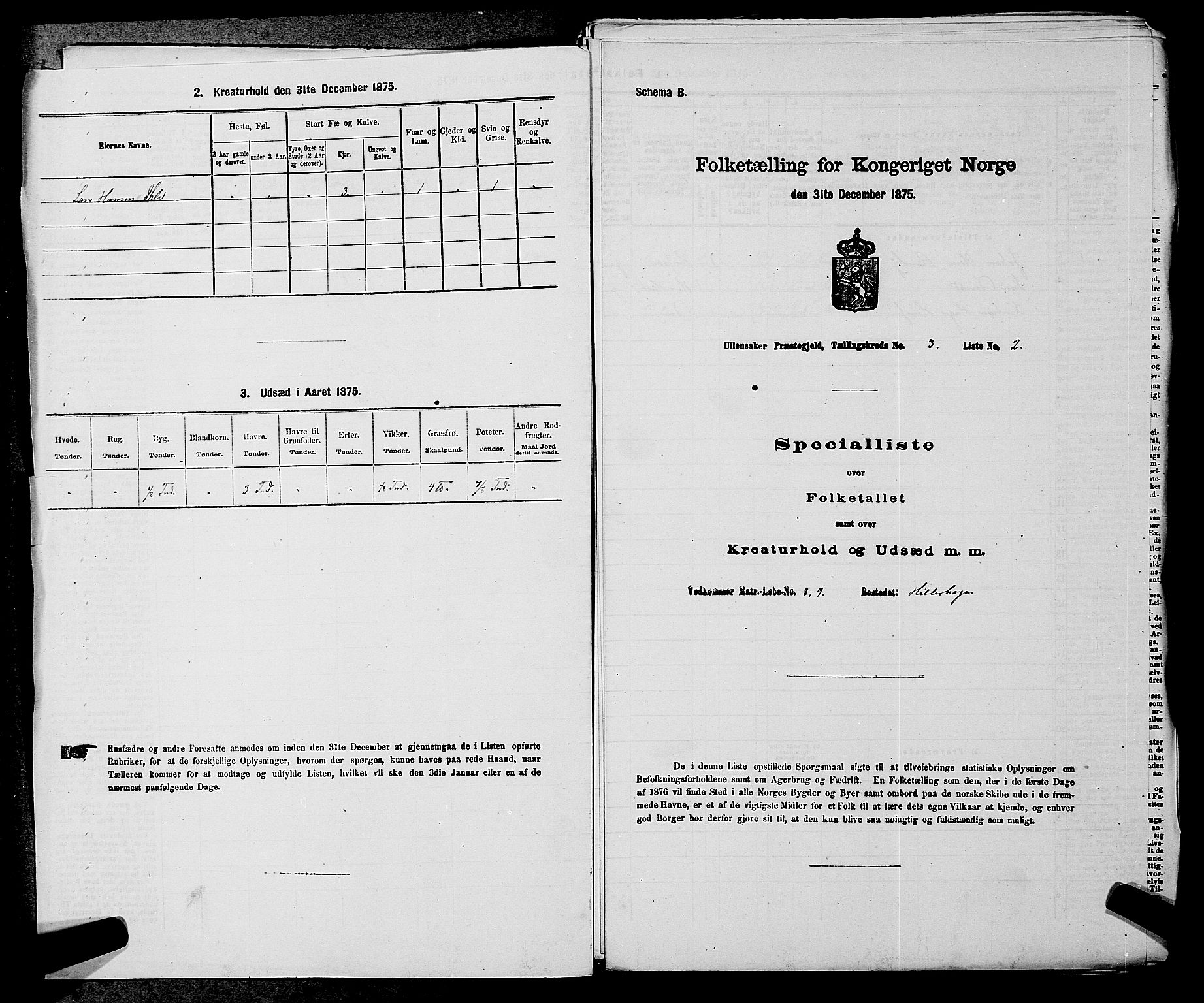 RA, 1875 census for 0235P Ullensaker, 1875, p. 300