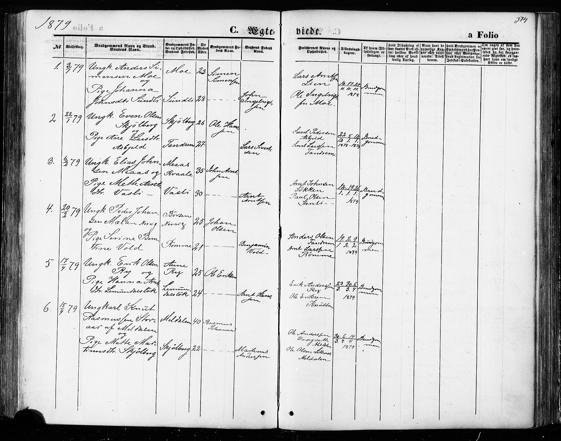 Ministerialprotokoller, klokkerbøker og fødselsregistre - Sør-Trøndelag, SAT/A-1456/668/L0807: Parish register (official) no. 668A07, 1870-1880, p. 314