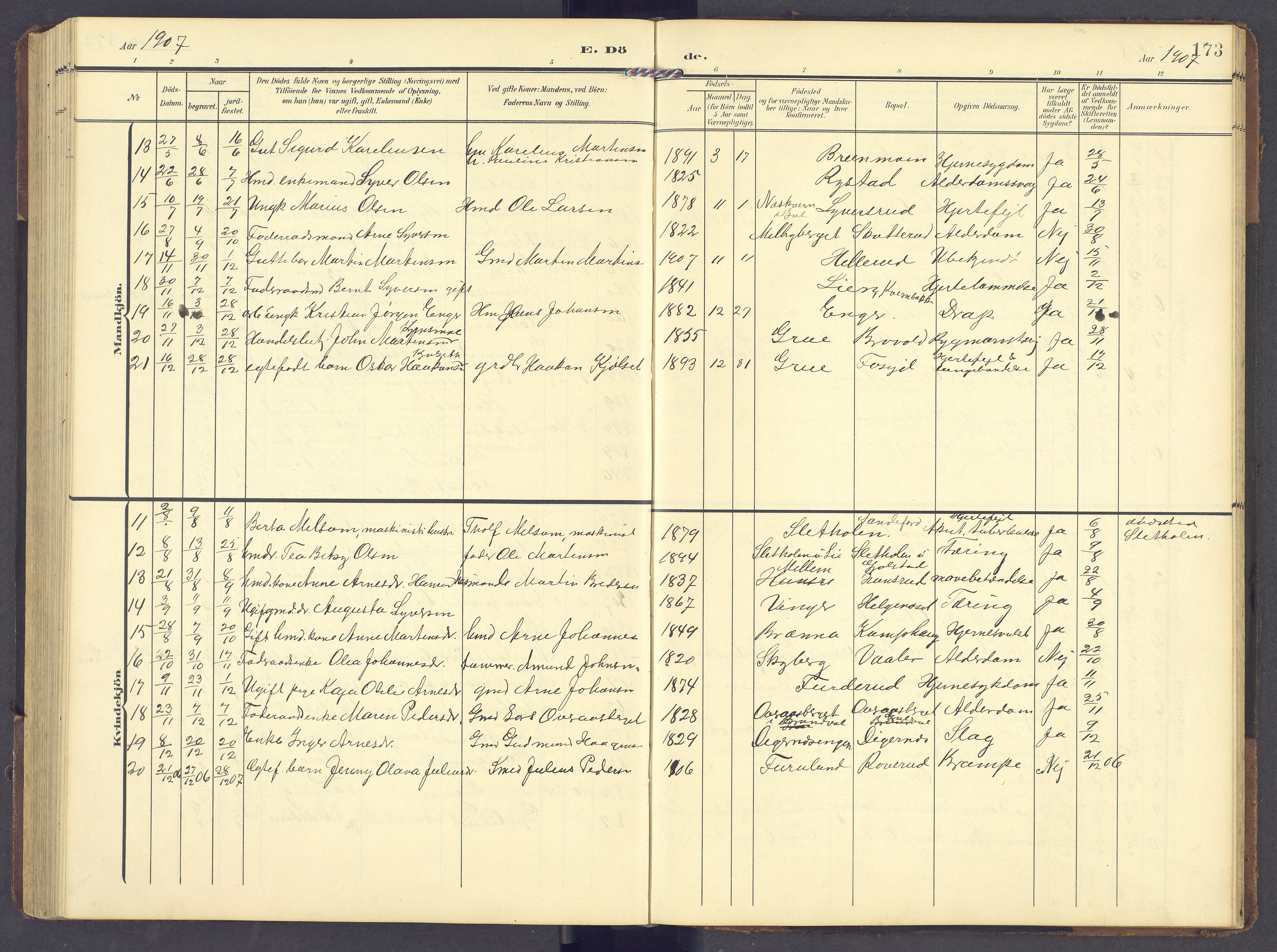 Brandval prestekontor, AV/SAH-PREST-034/H/Ha/Hab/L0003: Parish register (copy) no. 3, 1904-1917, p. 173