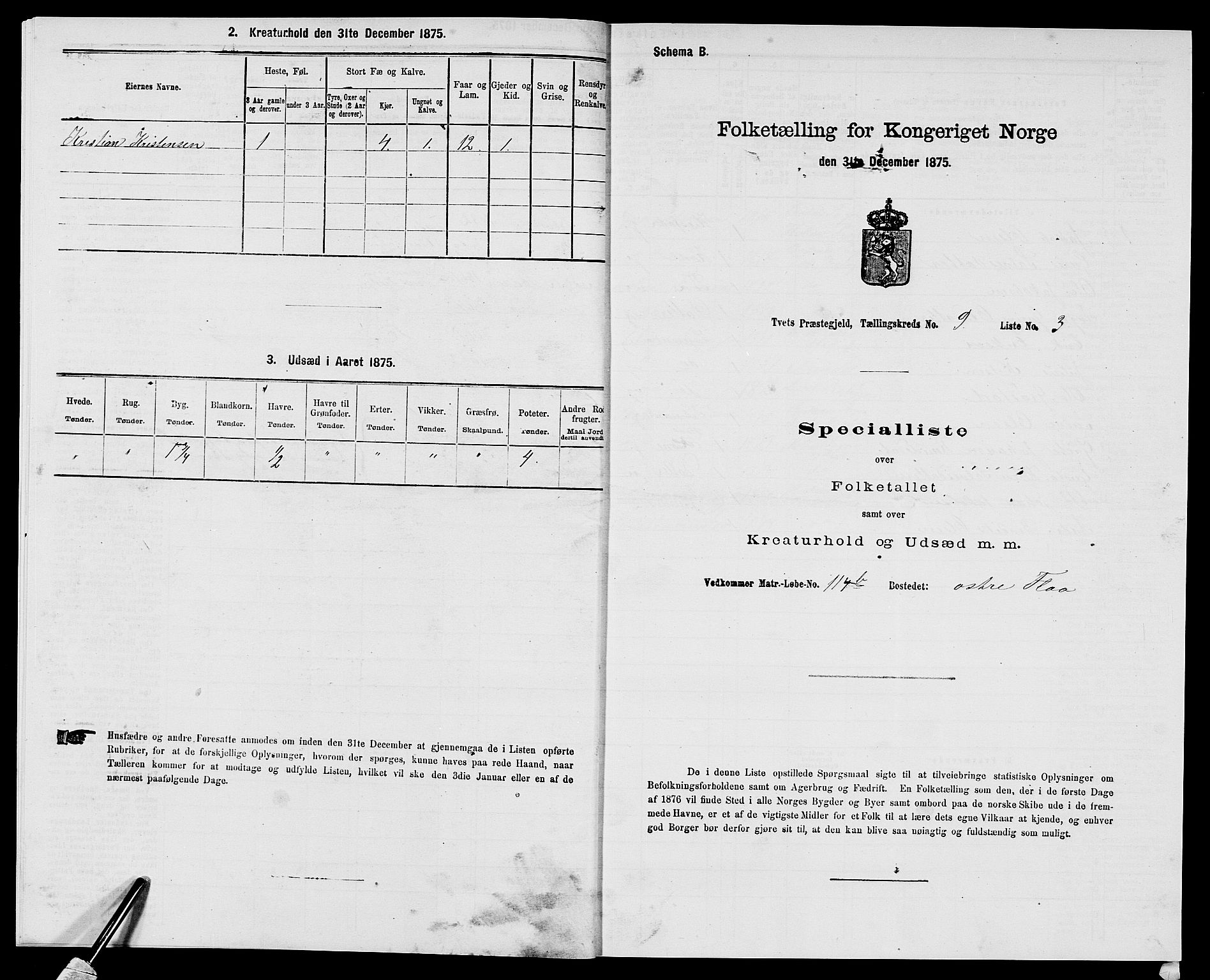 SAK, 1875 census for 1013P Tveit, 1875, p. 1110