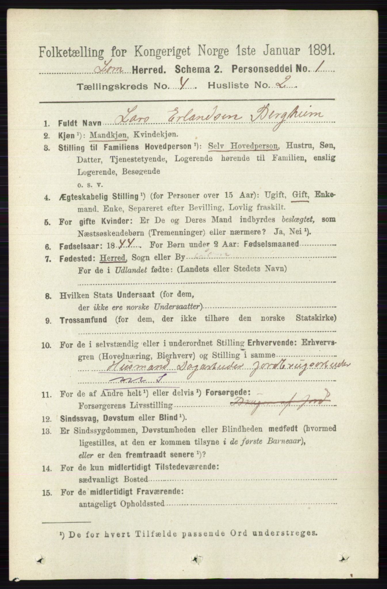 RA, 1891 census for 0514 Lom, 1891, p. 1510