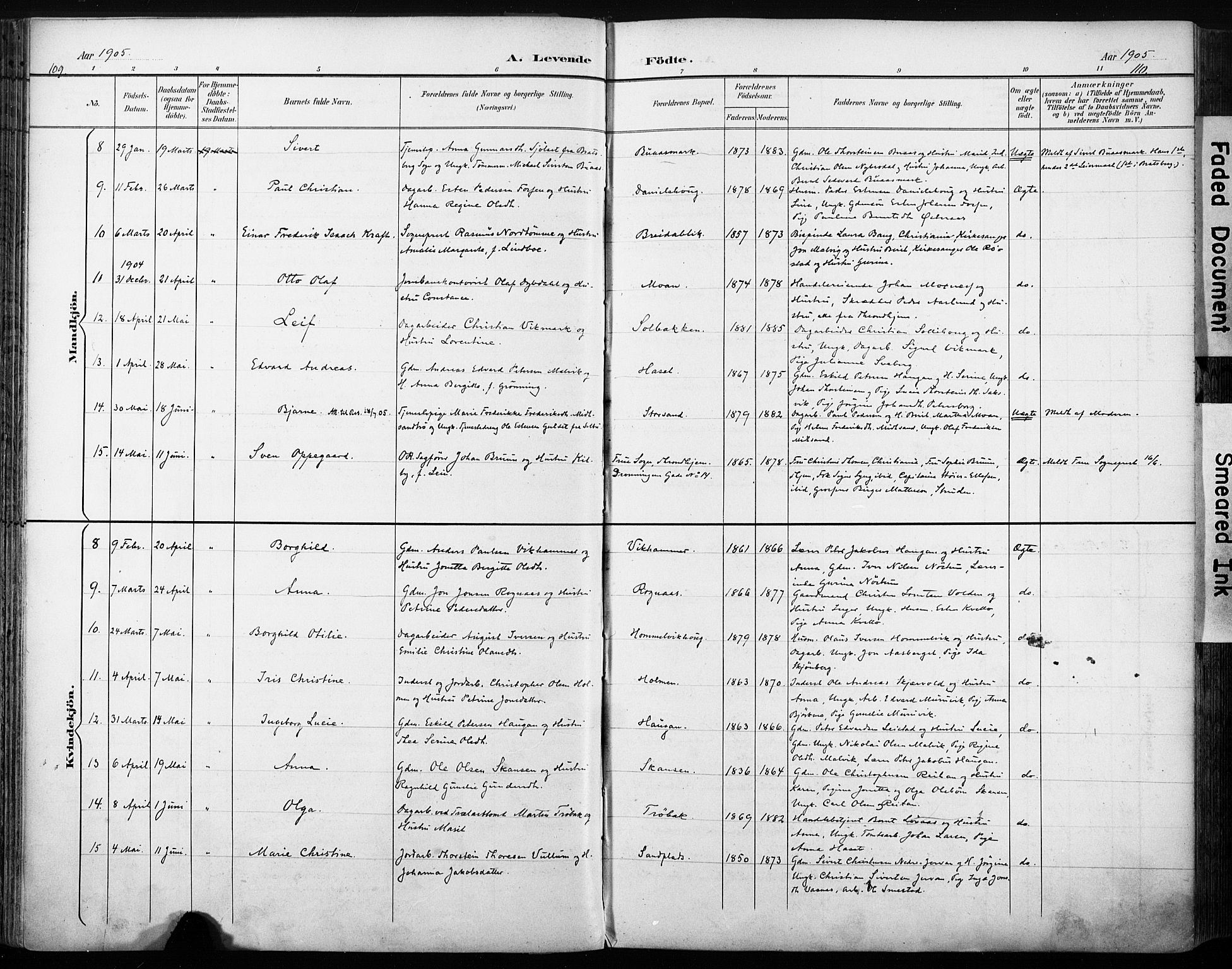 Ministerialprotokoller, klokkerbøker og fødselsregistre - Sør-Trøndelag, SAT/A-1456/616/L0411: Parish register (official) no. 616A08, 1894-1906, p. 109-110