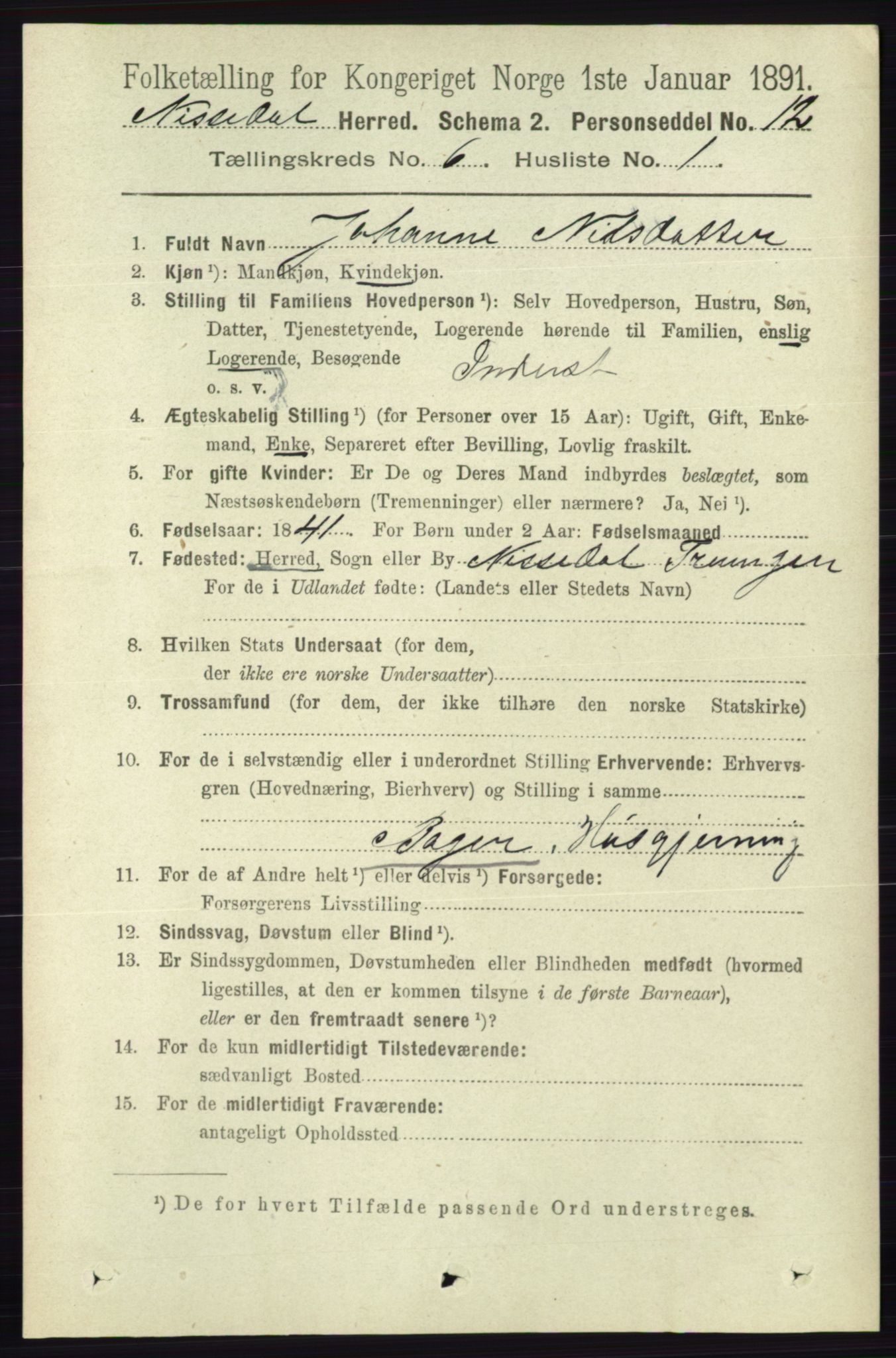 RA, 1891 census for 0830 Nissedal, 1891, p. 1343