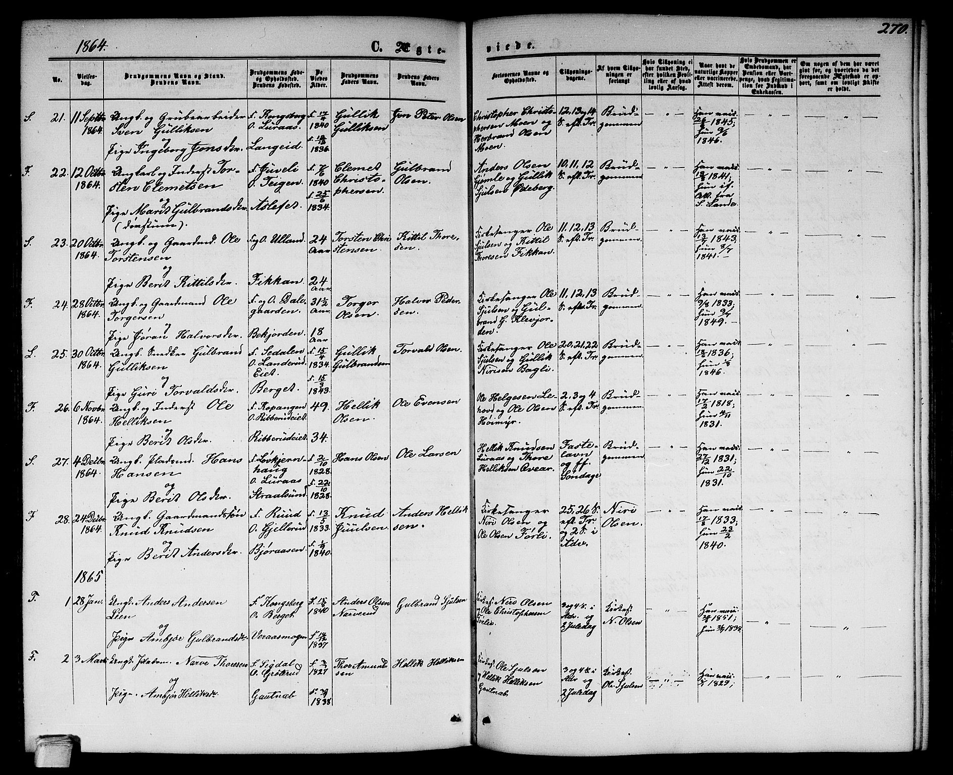 Flesberg kirkebøker, SAKO/A-18/G/Ga/L0003: Parish register (copy) no. I 3, 1861-1889, p. 270