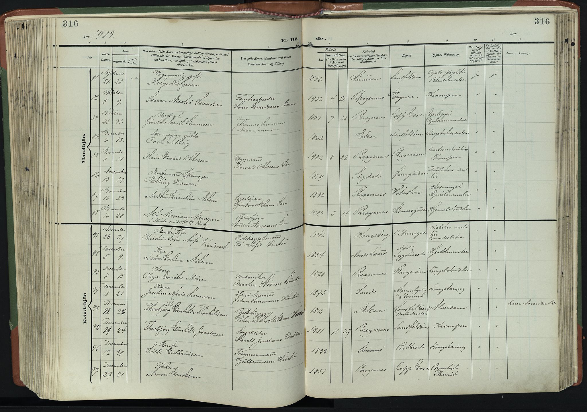 Bragernes kirkebøker, AV/SAKO-A-6/F/Fb/L0009: Parish register (official) no. II 9, 1902-1911, p. 316