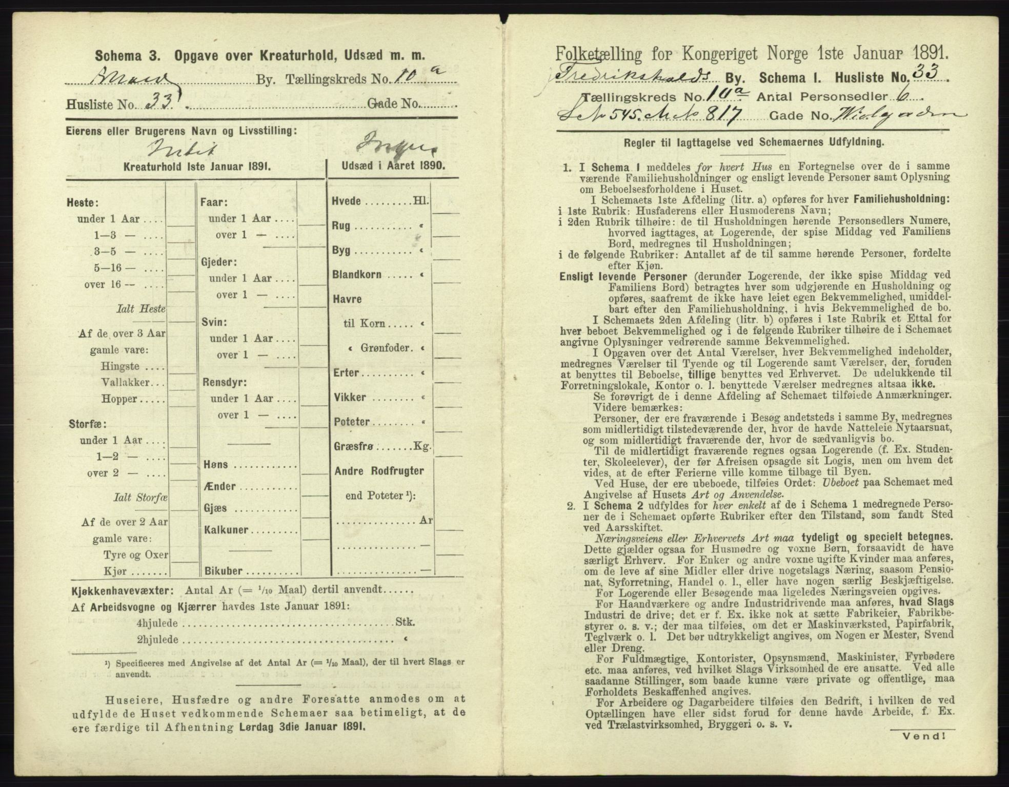 RA, 1891 census for 0101 Fredrikshald, 1891, p. 986