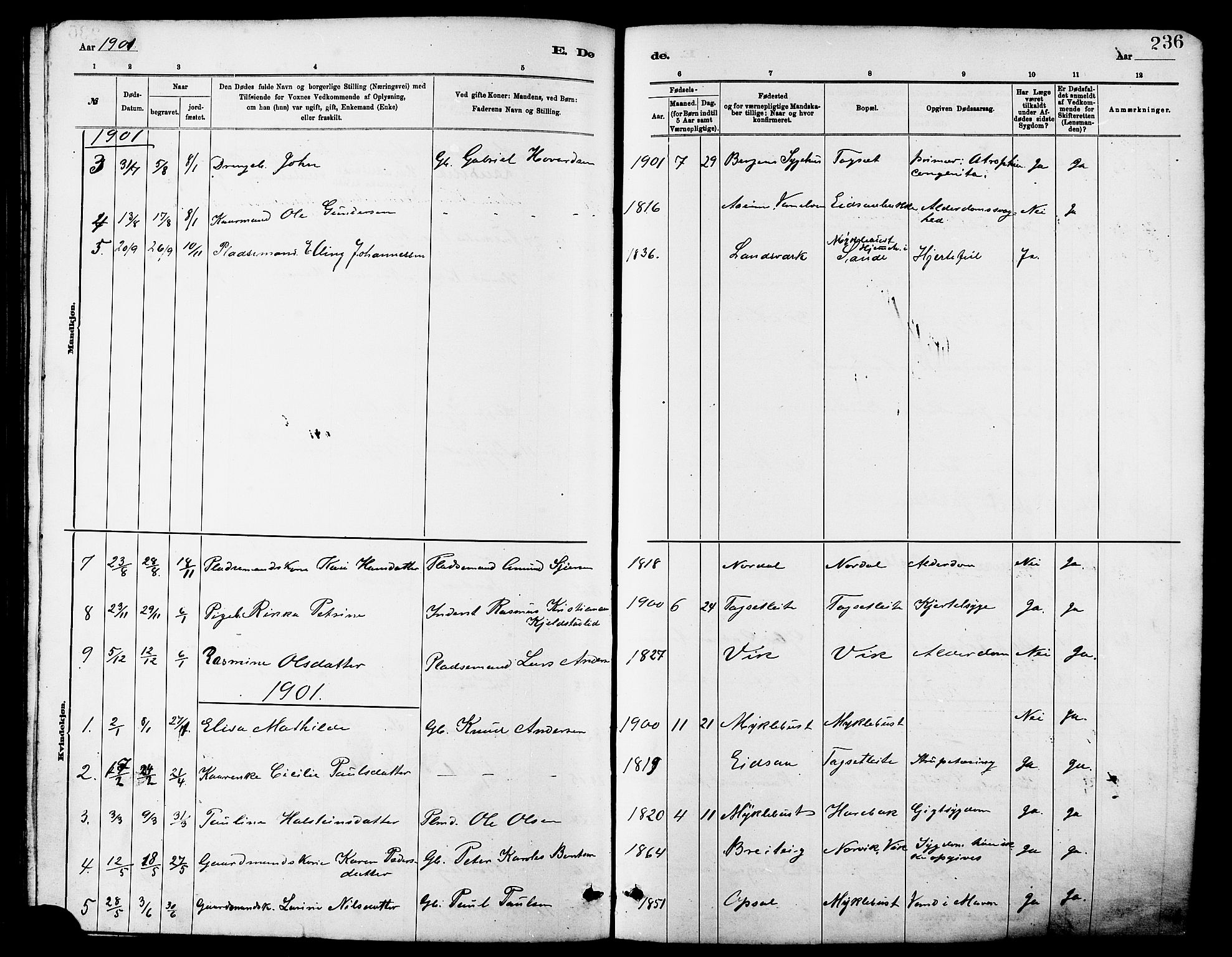 Ministerialprotokoller, klokkerbøker og fødselsregistre - Møre og Romsdal, AV/SAT-A-1454/502/L0027: Parish register (copy) no. 502C01, 1878-1908, p. 236