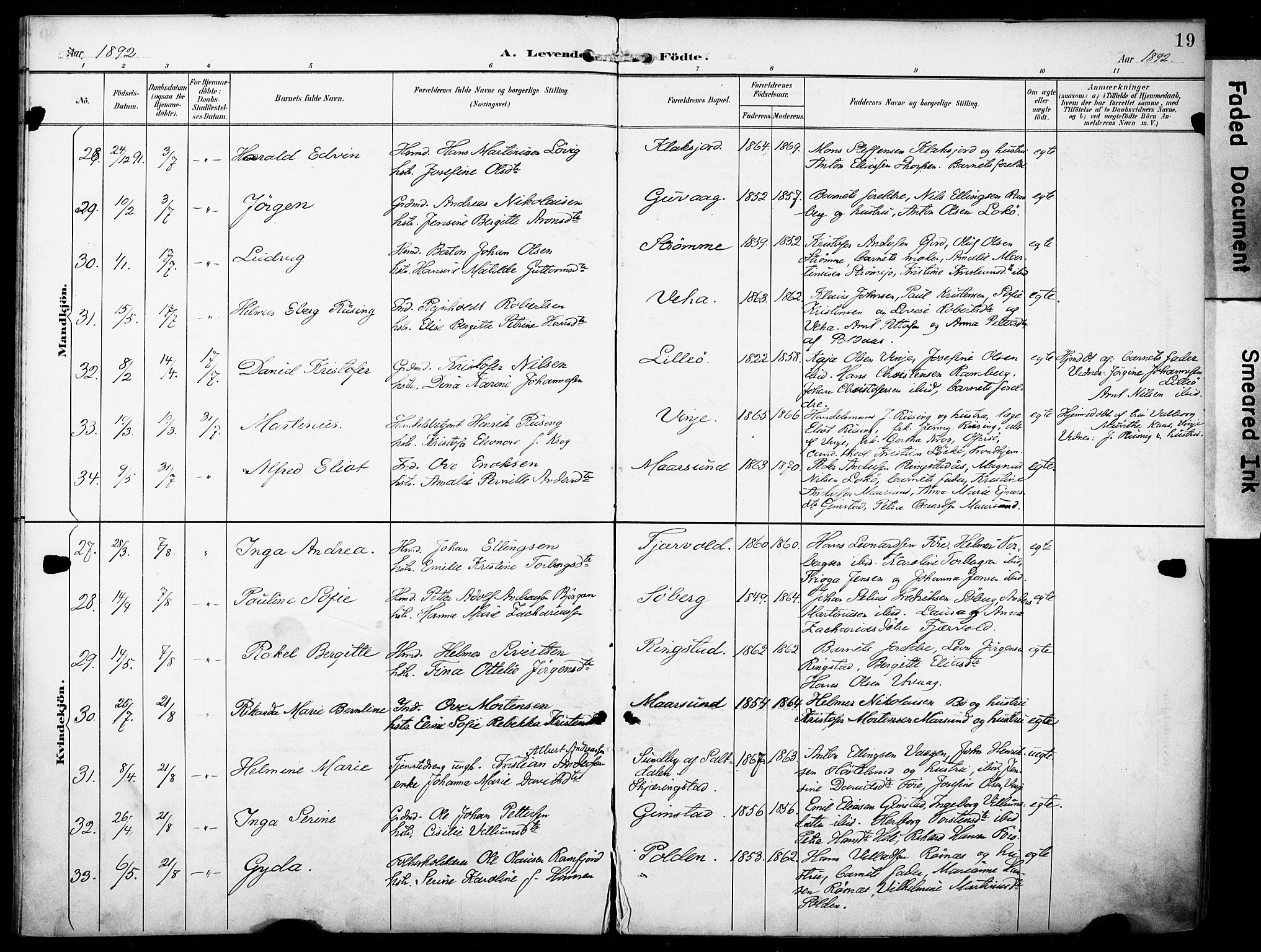 Ministerialprotokoller, klokkerbøker og fødselsregistre - Nordland, AV/SAT-A-1459/891/L1303: Parish register (official) no. 891A08, 1891-1894, p. 19
