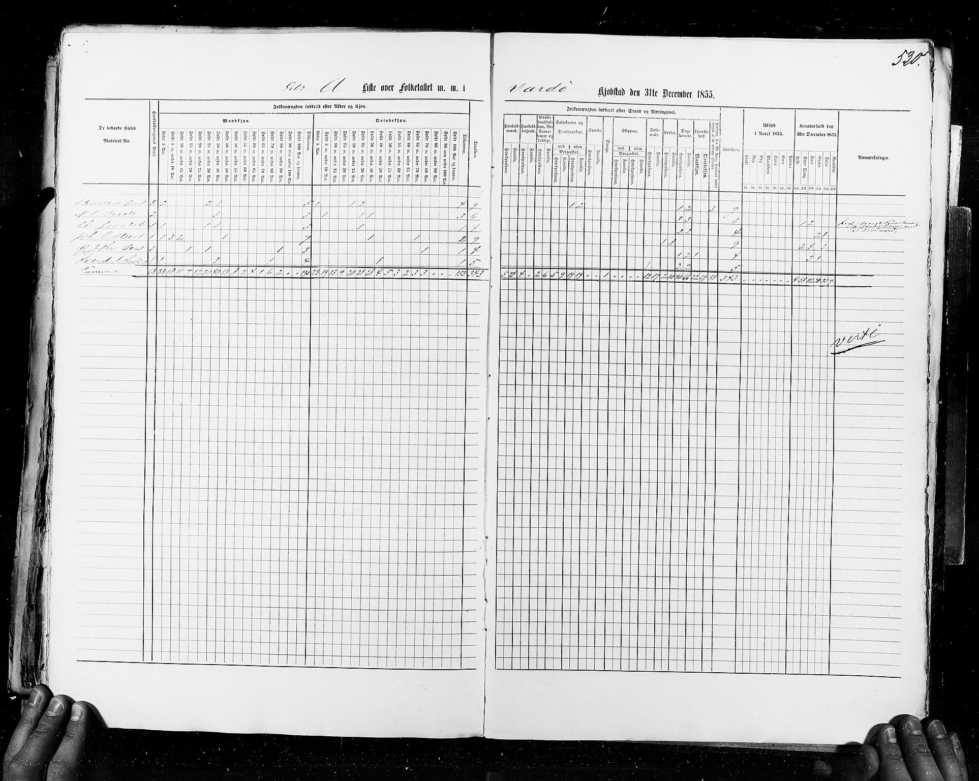 RA, Census 1855, vol. 8: Risør-Vadsø, 1855, p. 530