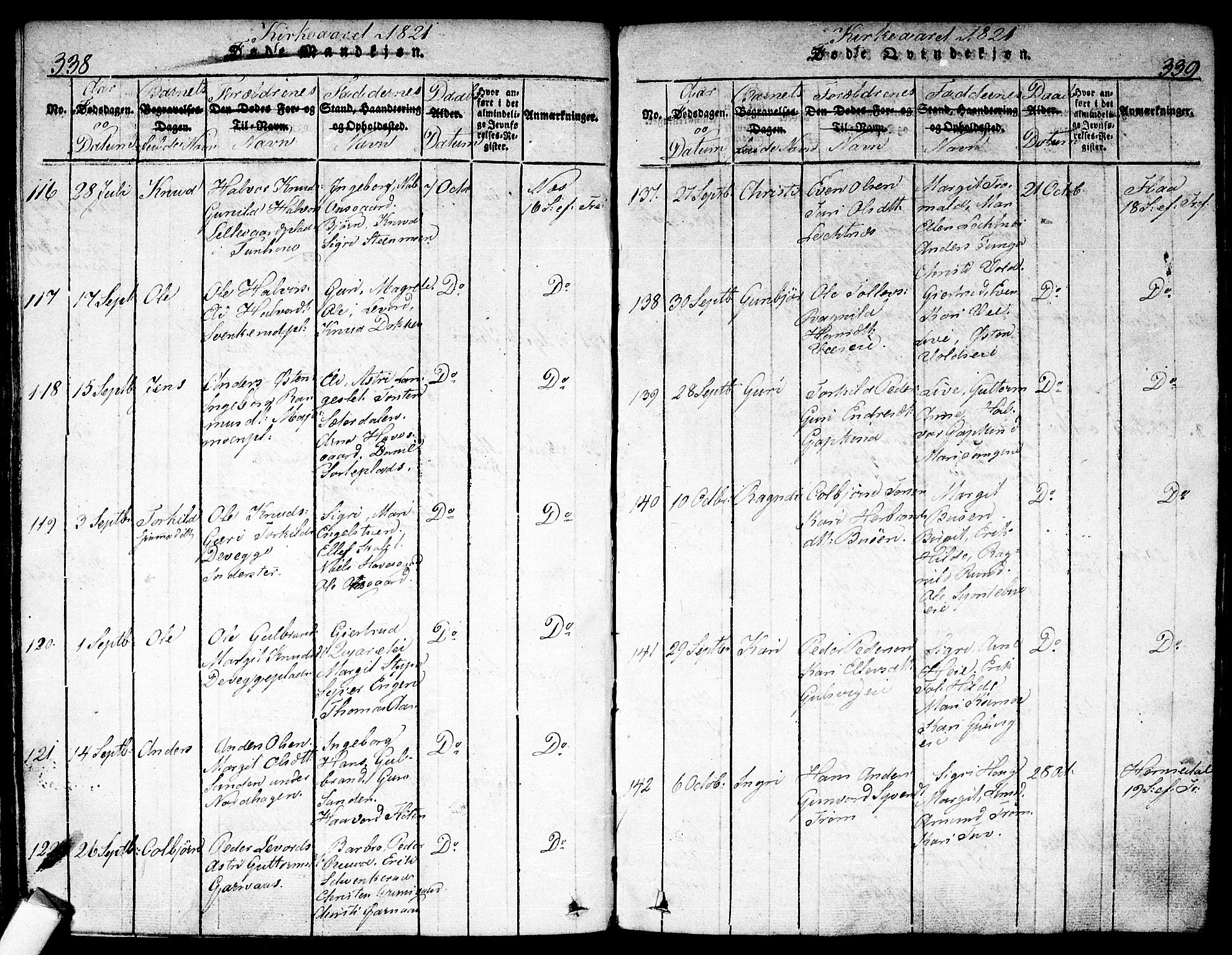 Nes kirkebøker, AV/SAKO-A-236/F/Fa/L0007: Parish register (official) no. 7, 1815-1823, p. 338-339