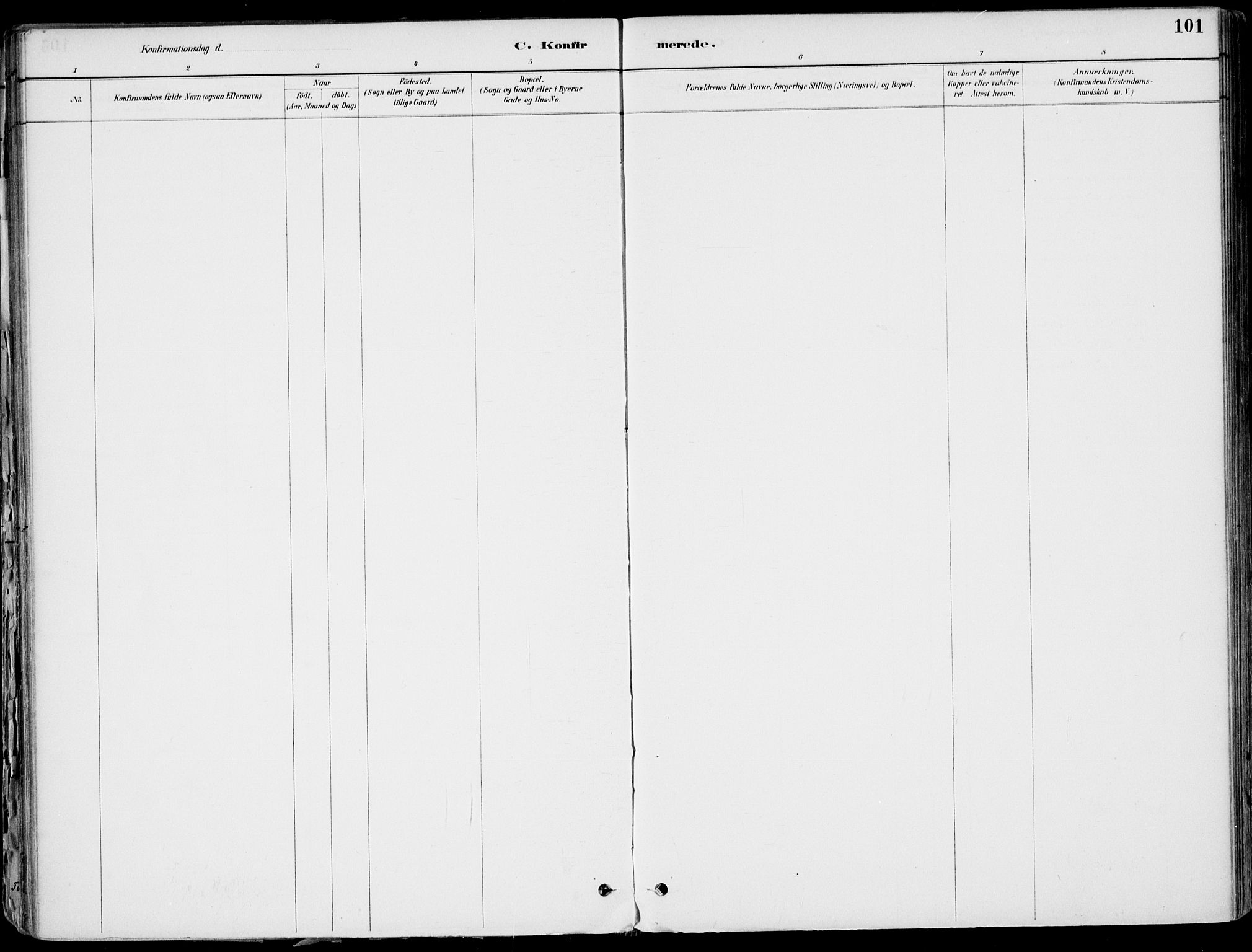 Larvik kirkebøker, AV/SAKO-A-352/F/Fb/L0004: Parish register (official) no. II 4, 1884-1902, p. 101