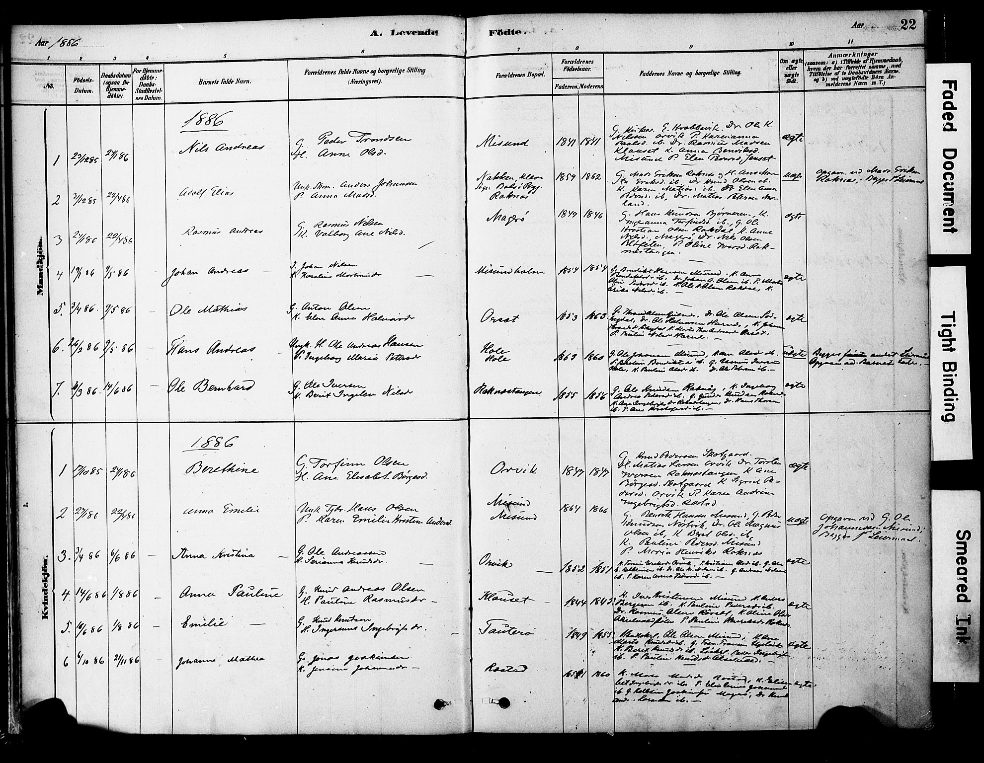 Ministerialprotokoller, klokkerbøker og fødselsregistre - Møre og Romsdal, SAT/A-1454/563/L0736: Parish register (official) no. 563A01, 1878-1903, p. 22