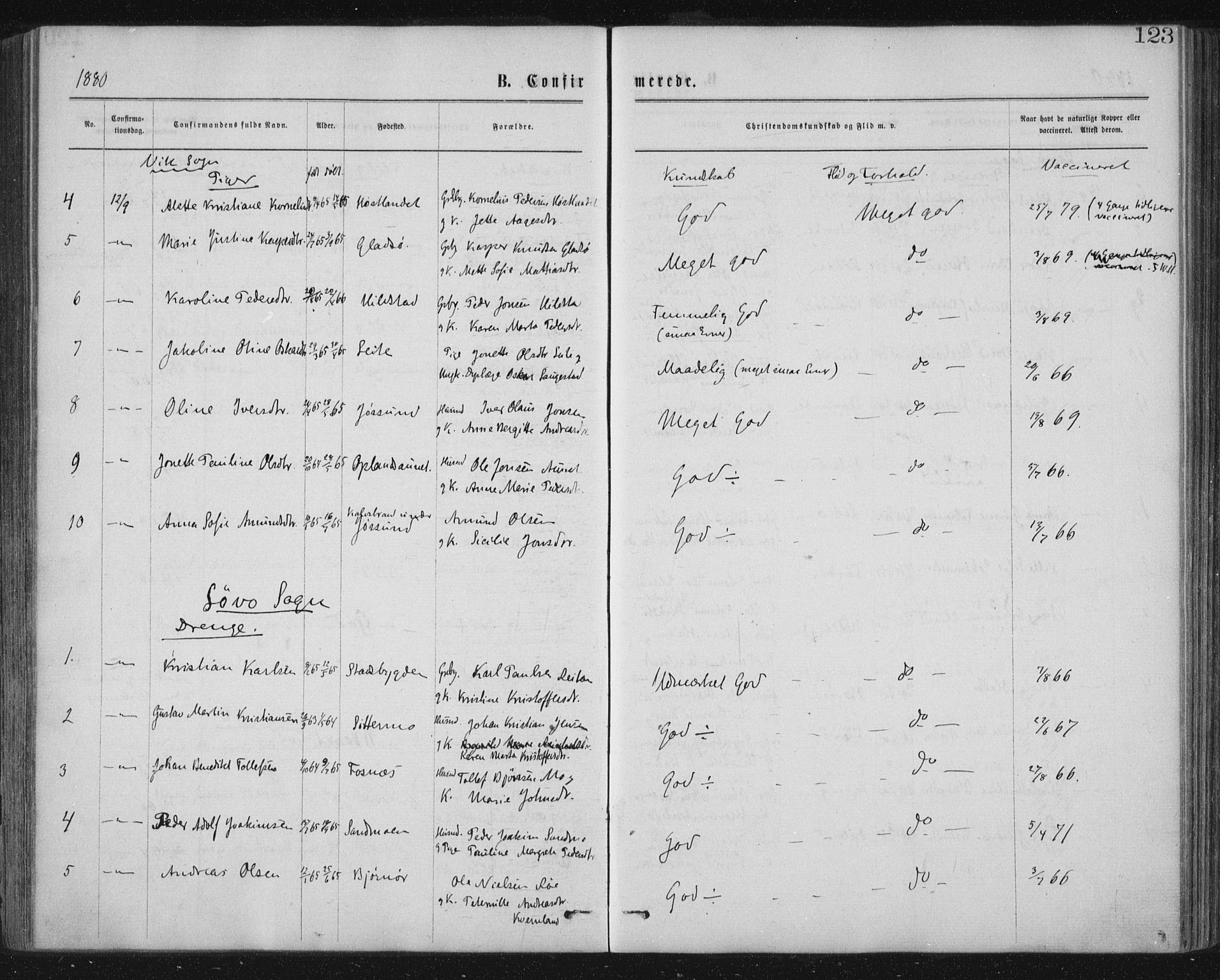 Ministerialprotokoller, klokkerbøker og fødselsregistre - Nord-Trøndelag, AV/SAT-A-1458/771/L0596: Parish register (official) no. 771A03, 1870-1884, p. 123