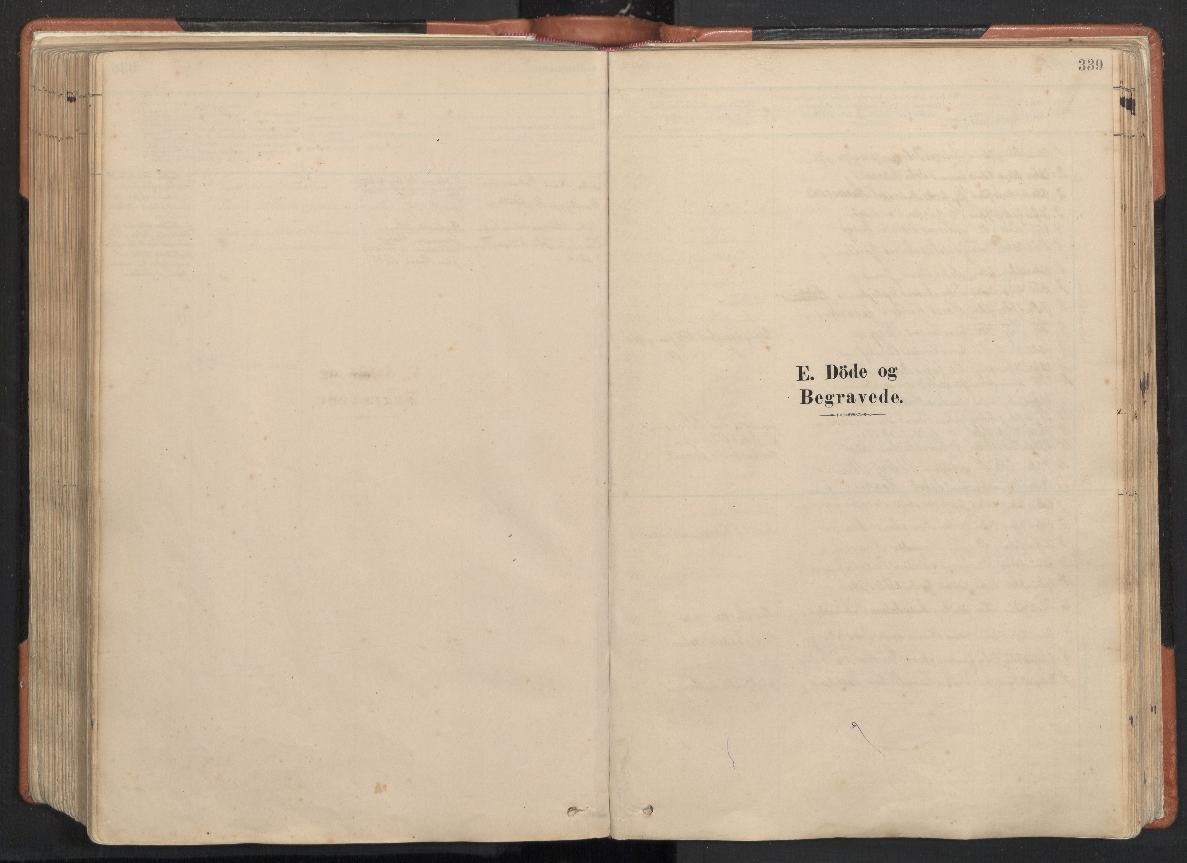 Ministerialprotokoller, klokkerbøker og fødselsregistre - Nordland, AV/SAT-A-1459/817/L0264: Parish register (official) no. 817A04, 1878-1907, p. 339