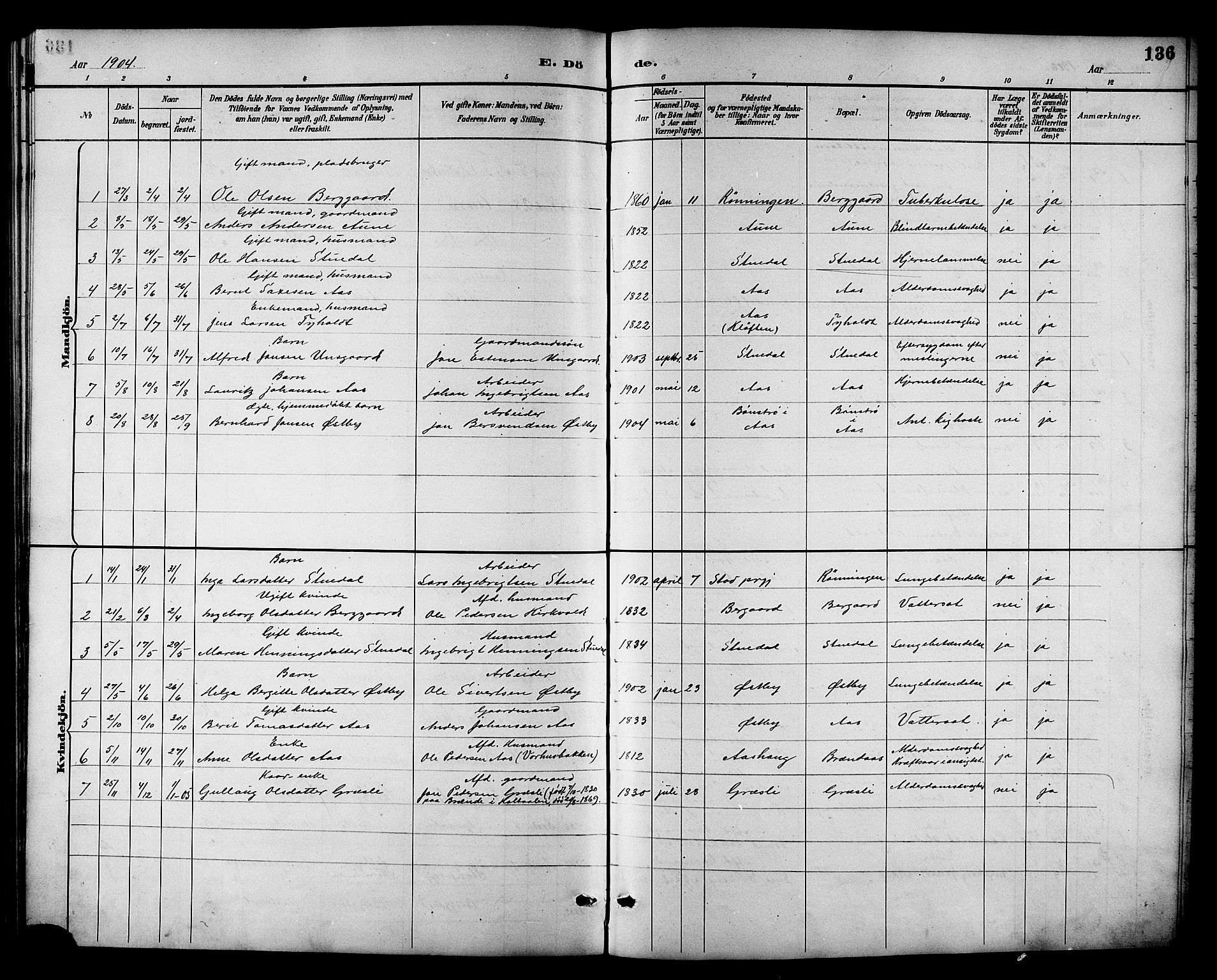 Ministerialprotokoller, klokkerbøker og fødselsregistre - Sør-Trøndelag, SAT/A-1456/698/L1167: Parish register (copy) no. 698C04, 1888-1907, p. 136
