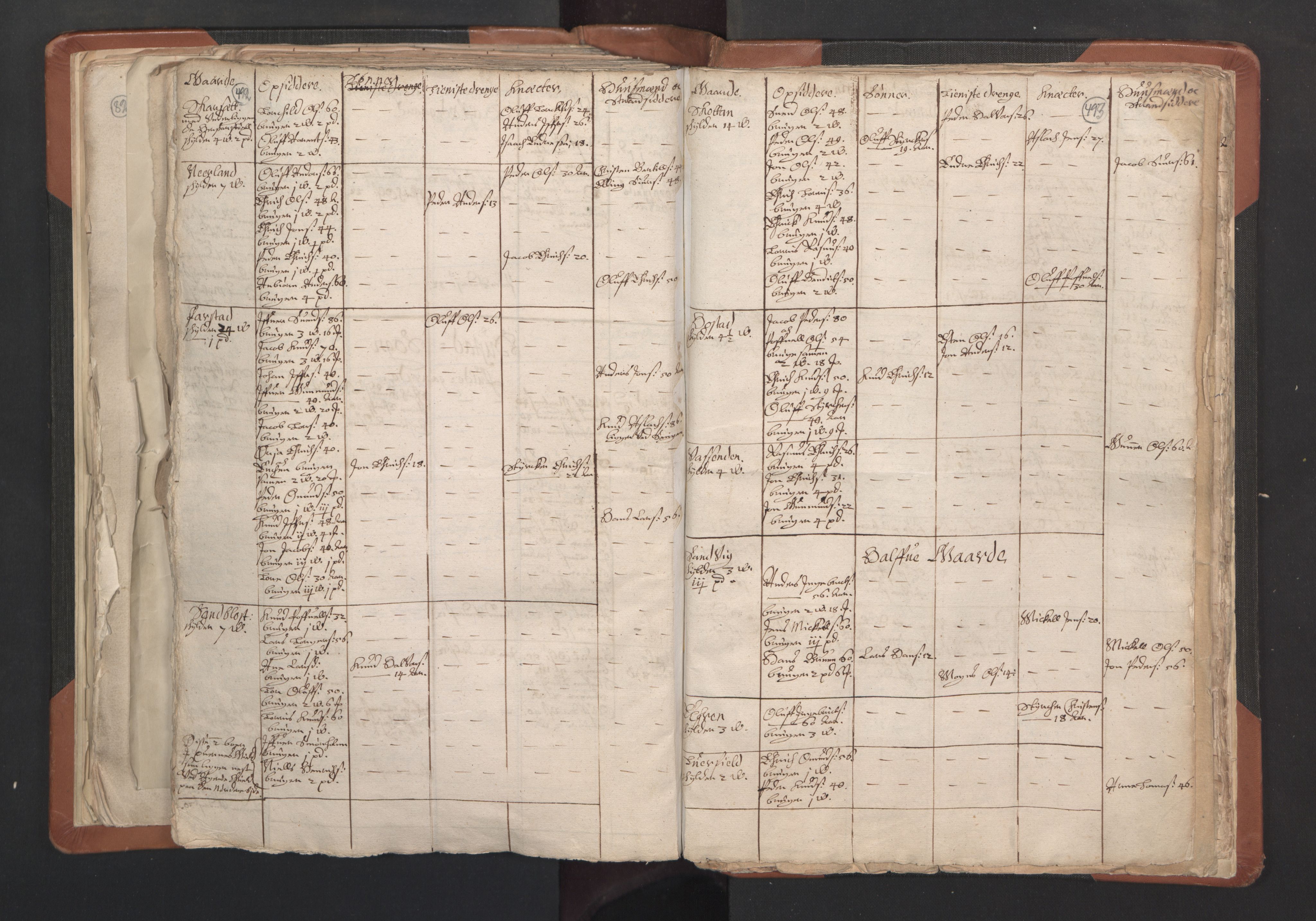 RA, Vicar's Census 1664-1666, no. 27: Romsdal deanery, 1664-1666, p. 492-493