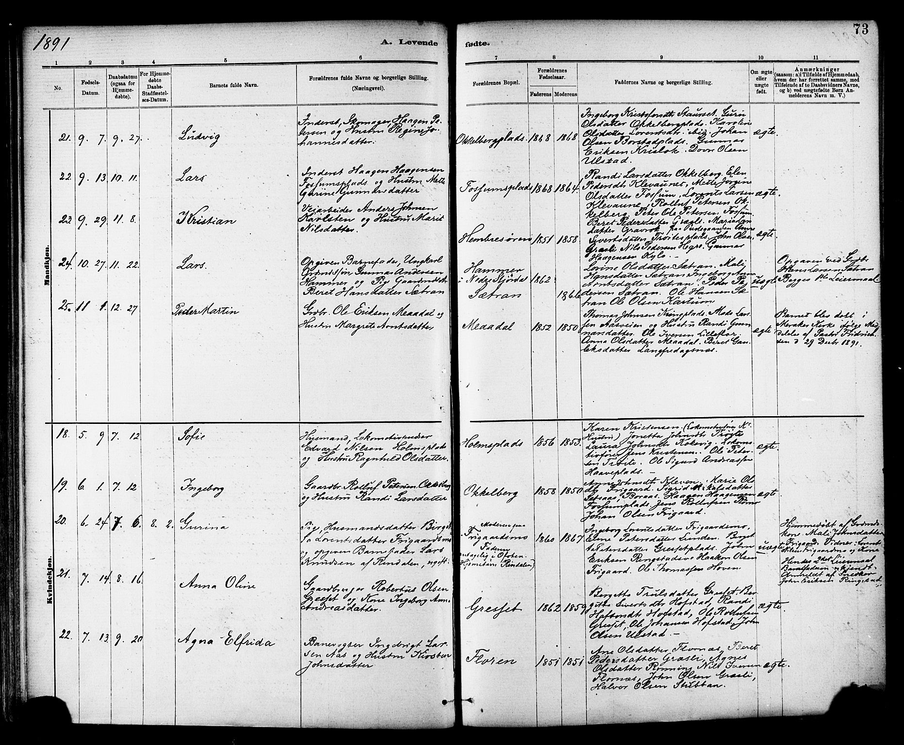 Ministerialprotokoller, klokkerbøker og fødselsregistre - Nord-Trøndelag, AV/SAT-A-1458/703/L0030: Parish register (official) no. 703A03, 1880-1892, p. 73