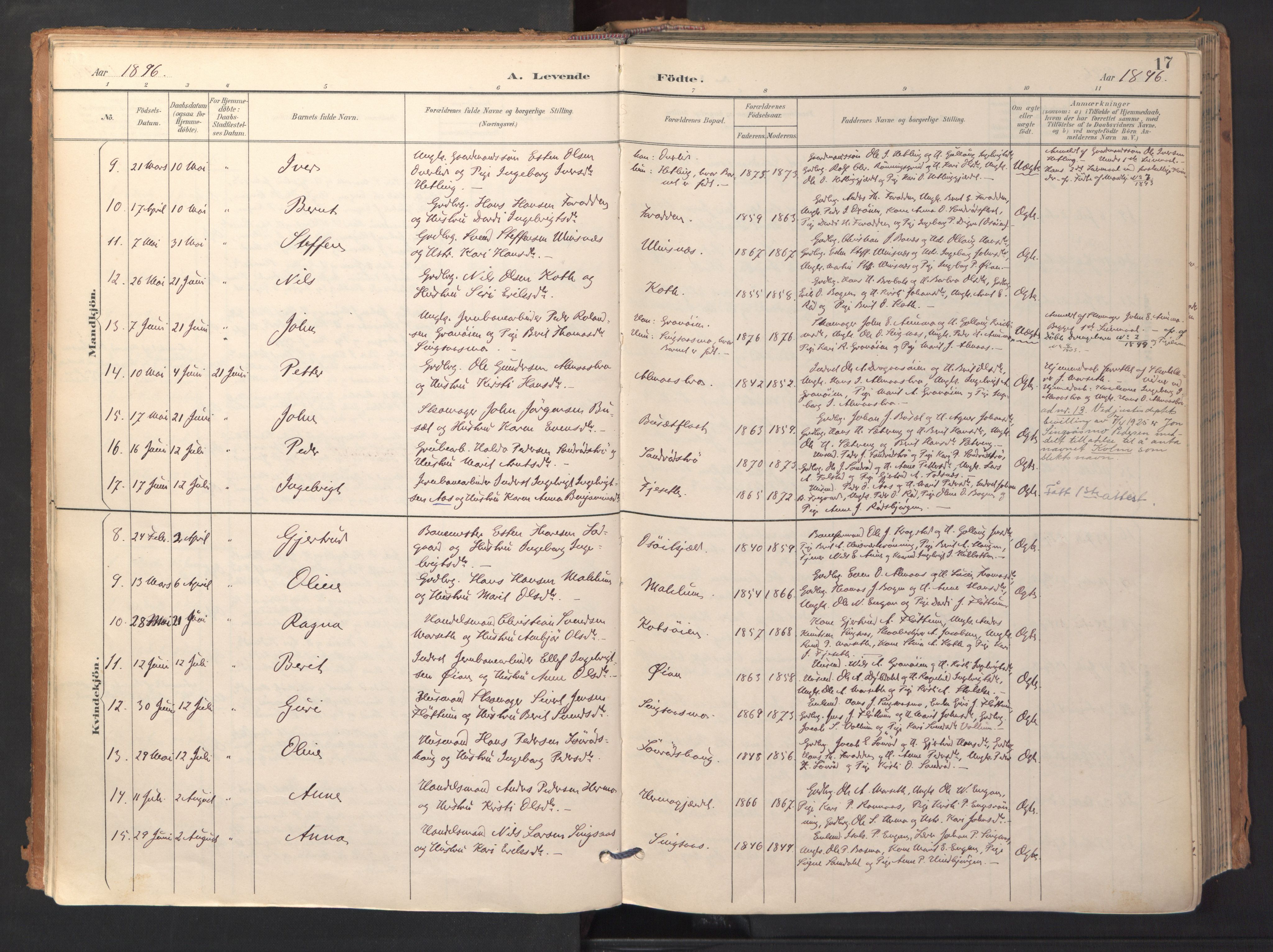 Ministerialprotokoller, klokkerbøker og fødselsregistre - Sør-Trøndelag, SAT/A-1456/688/L1025: Parish register (official) no. 688A02, 1891-1909, p. 17