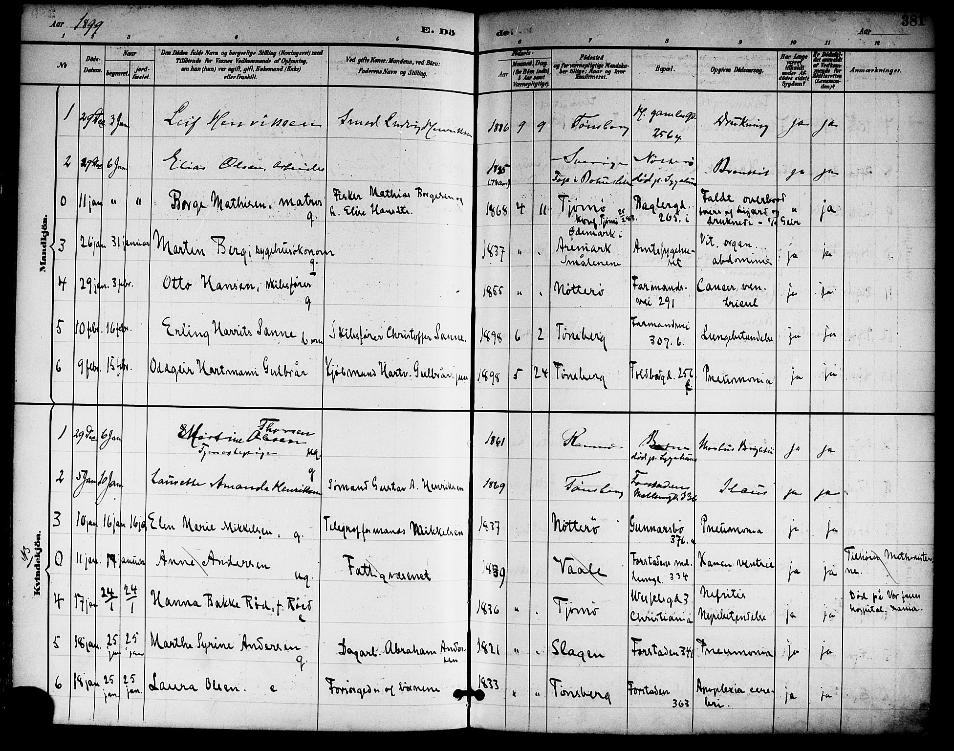 Tønsberg kirkebøker, SAKO/A-330/F/Fa/L0012: Parish register (official) no. I 12, 1891-1899, p. 381