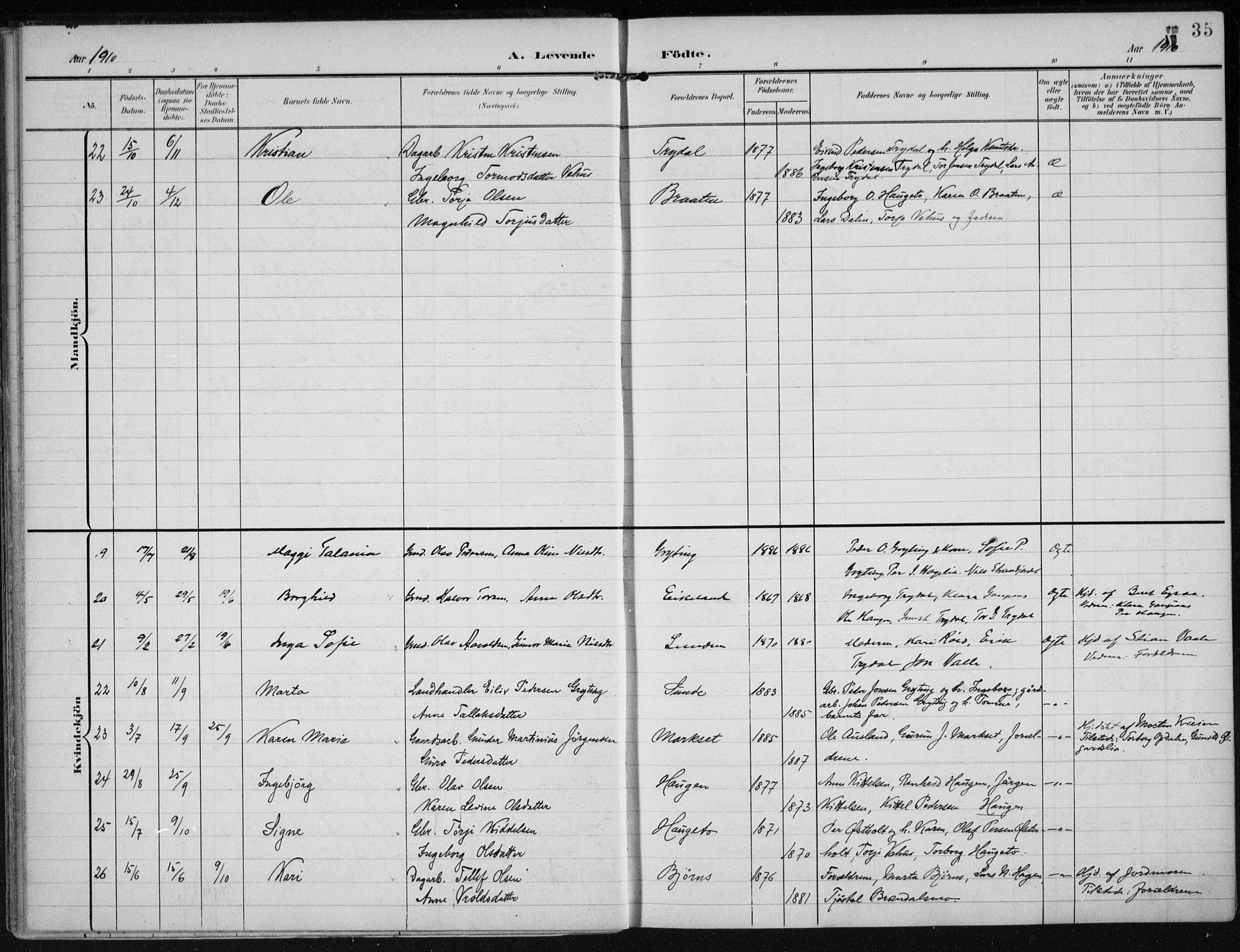 Gjerstad sokneprestkontor, SAK/1111-0014/F/Fa/Faa/L0011: Parish register (official) no. A 11, 1903-1914, p. 35
