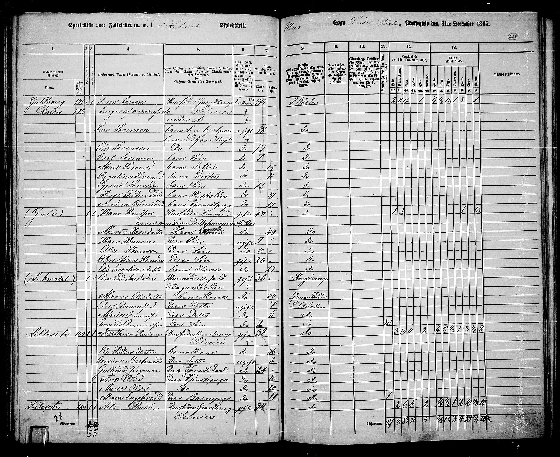 RA, 1865 census for Sør-Odal, 1865, p. 200