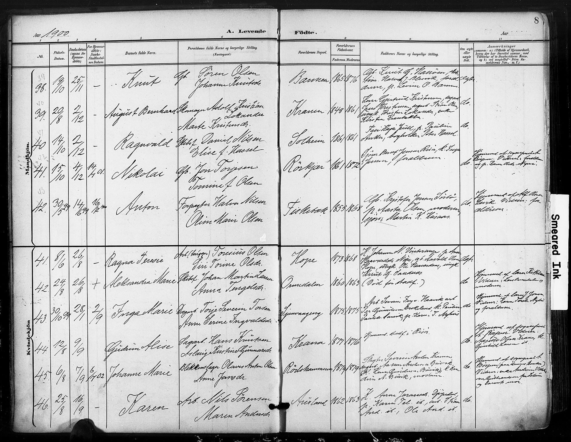 Søndeled sokneprestkontor, AV/SAK-1111-0038/F/Fa/L0006: Parish register (official) no. A 6, 1900-1922, p. 8