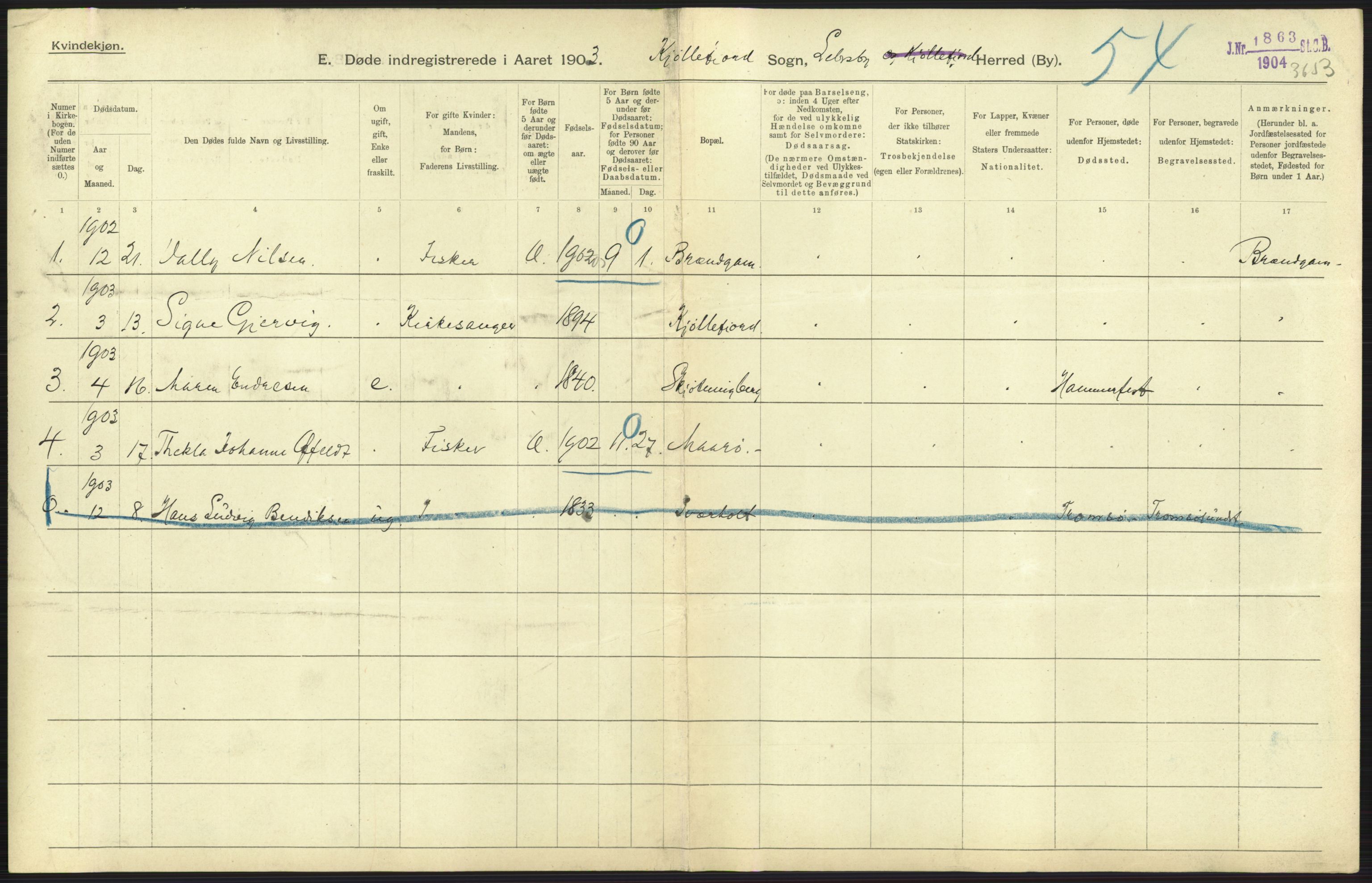 Statistisk sentralbyrå, Sosiodemografiske emner, Befolkning, RA/S-2228/D/Df/Dfa/Dfaa/L0022: Finnmarkens amt: Fødte, gifte, døde., 1903, p. 257