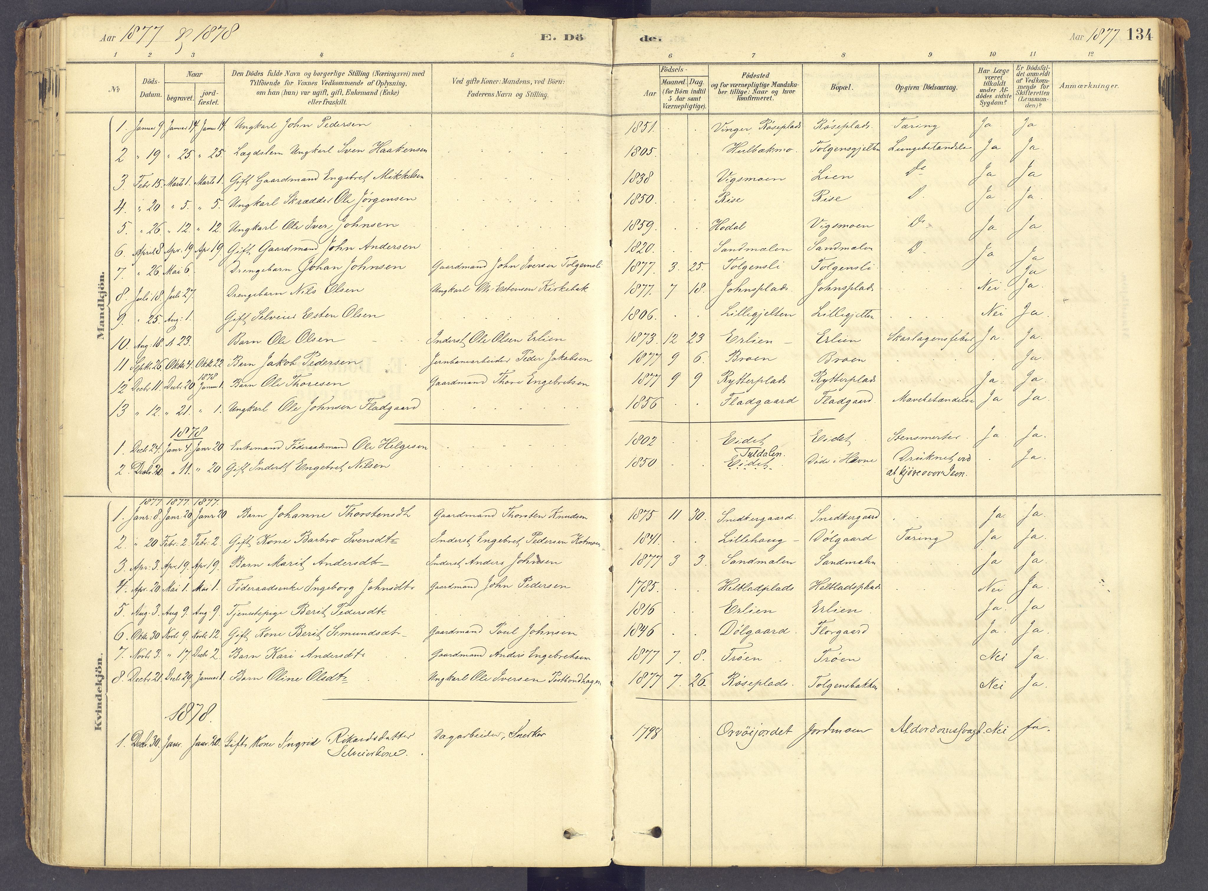 Tolga prestekontor, AV/SAH-PREST-062/K/L0011: Parish register (official) no. 11, 1877-1920, p. 134