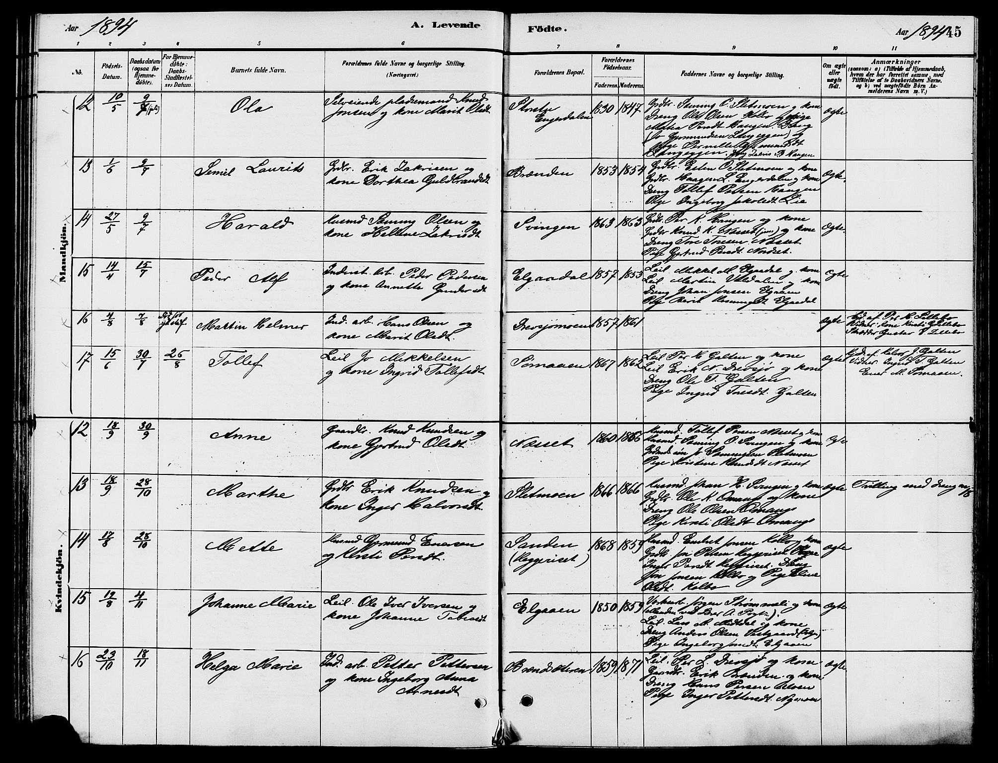 Engerdal prestekontor, AV/SAH-PREST-048/H/Ha/Haa/L0001: Parish register (official) no. 1, 1881-1898, p. 45