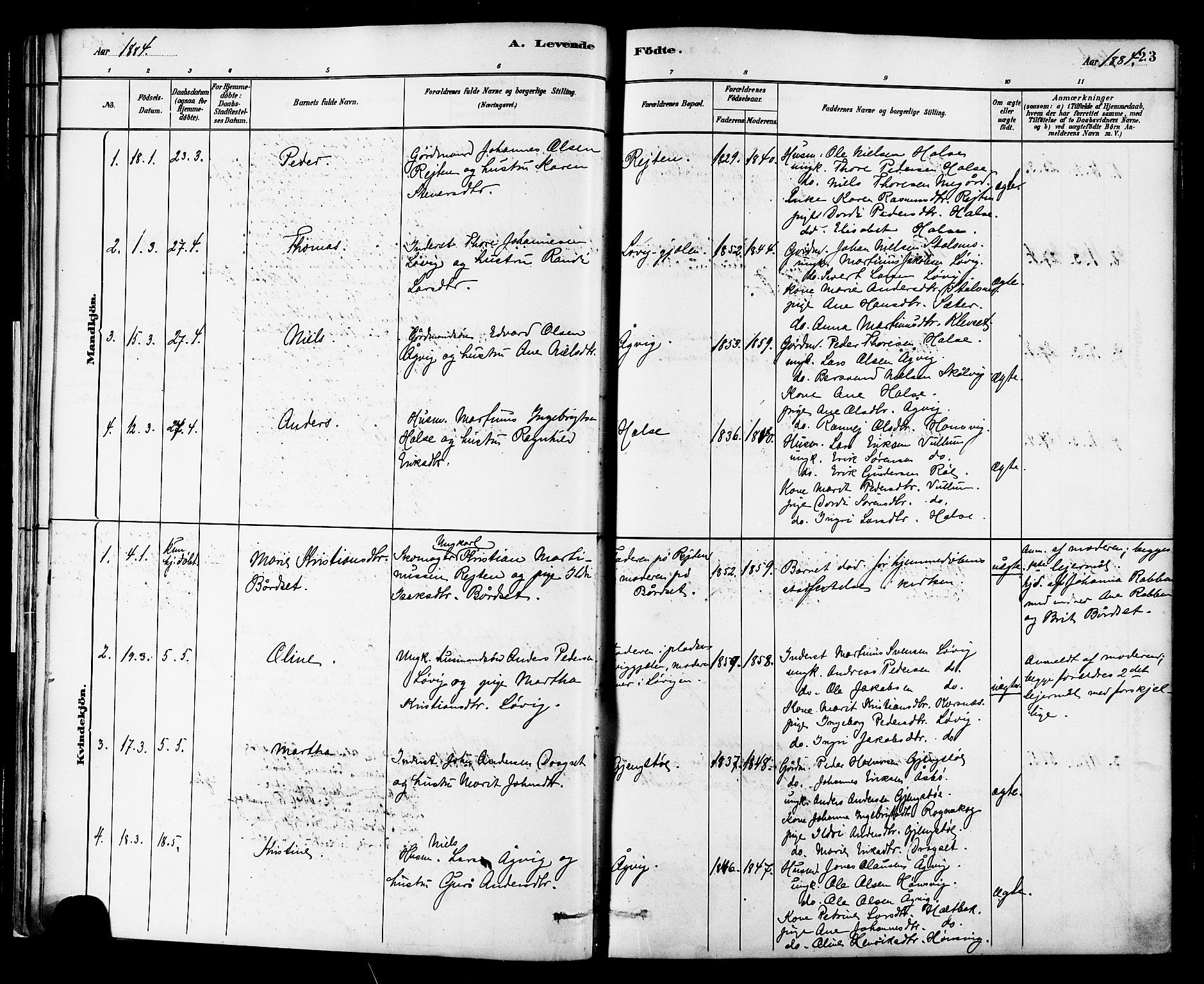 Ministerialprotokoller, klokkerbøker og fødselsregistre - Møre og Romsdal, SAT/A-1454/576/L0885: Parish register (official) no. 576A03, 1880-1898, p. 23
