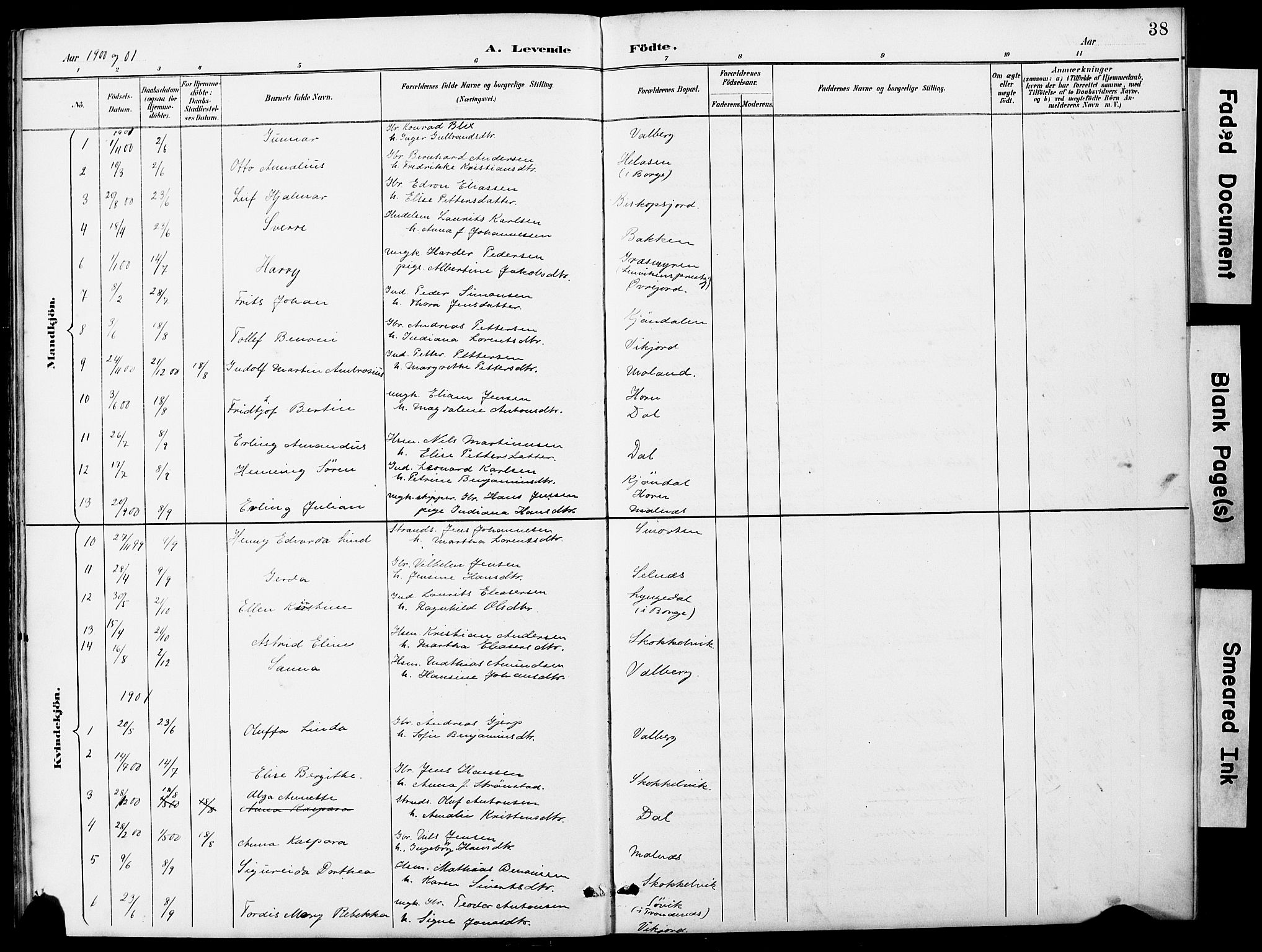 Ministerialprotokoller, klokkerbøker og fødselsregistre - Nordland, AV/SAT-A-1459/884/L1197: Parish register (copy) no. 884C03, 1888-1926, p. 38