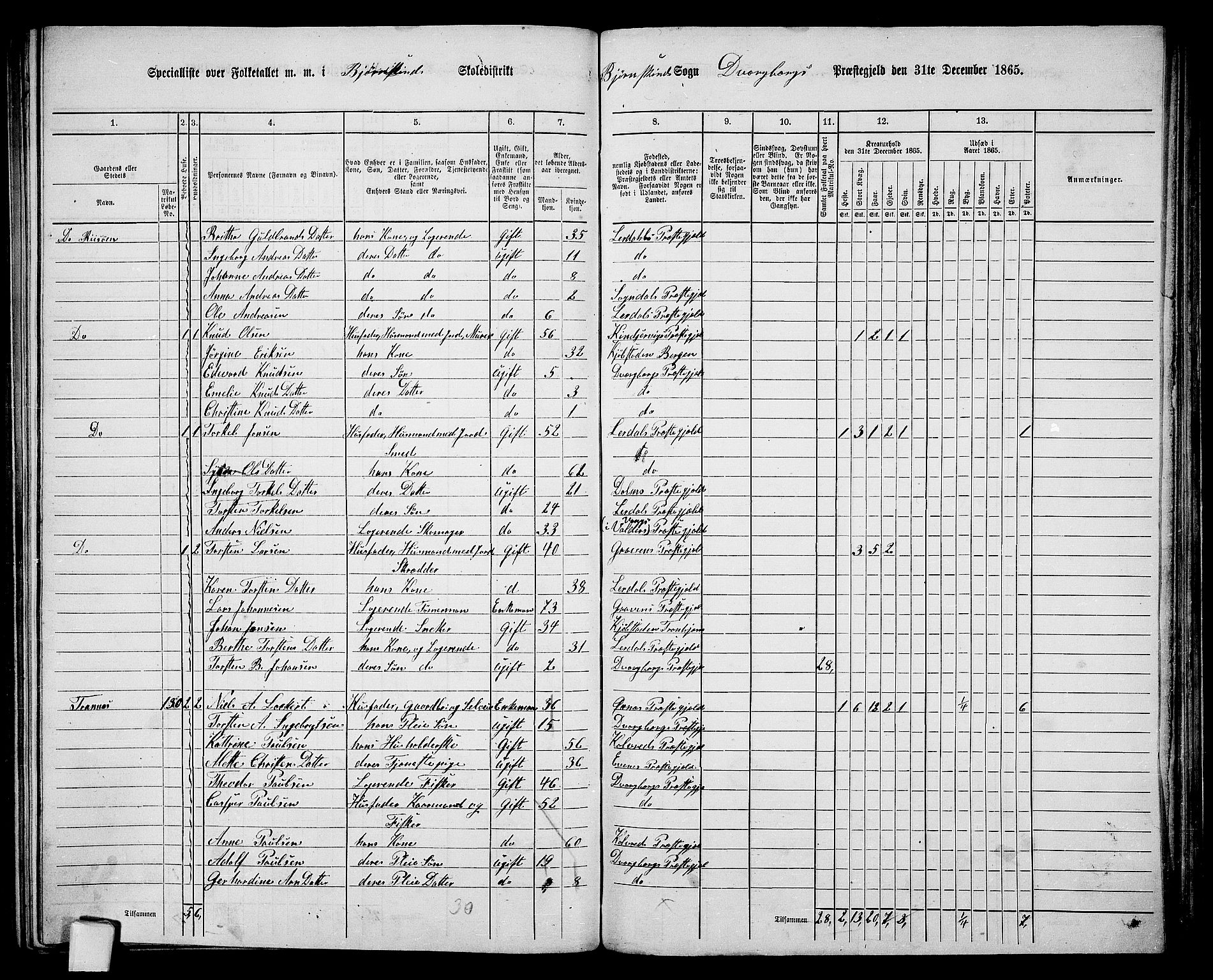 RA, 1865 census for Dverberg, 1865, p. 35